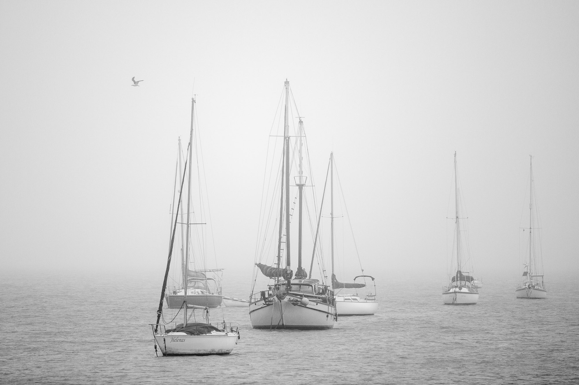 Silêncio. Fotógrafo de casamentos em Florianópolis
