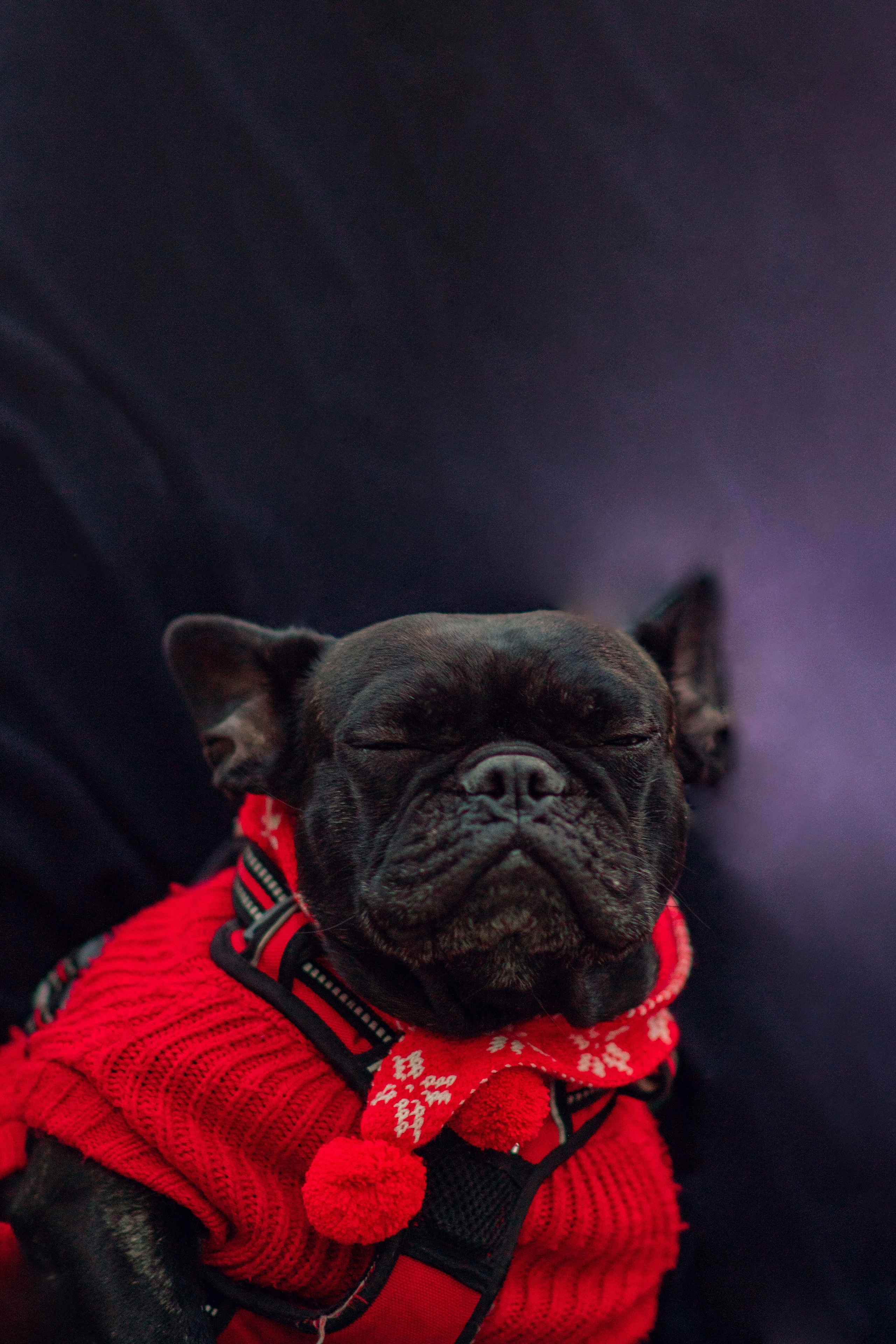 Christmas time. Семейный и детский фотограф