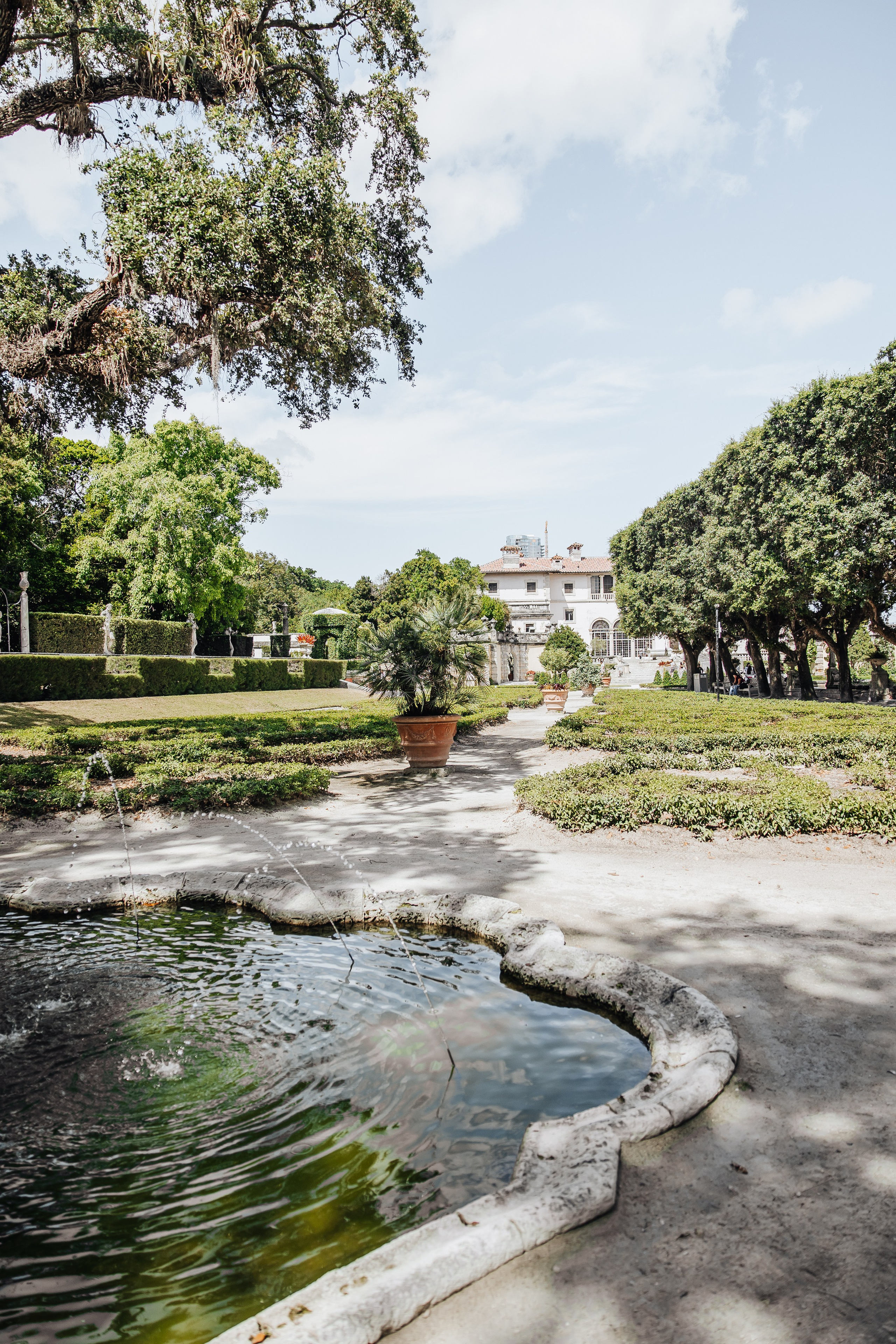 Wedding. Alya Leto Photographer