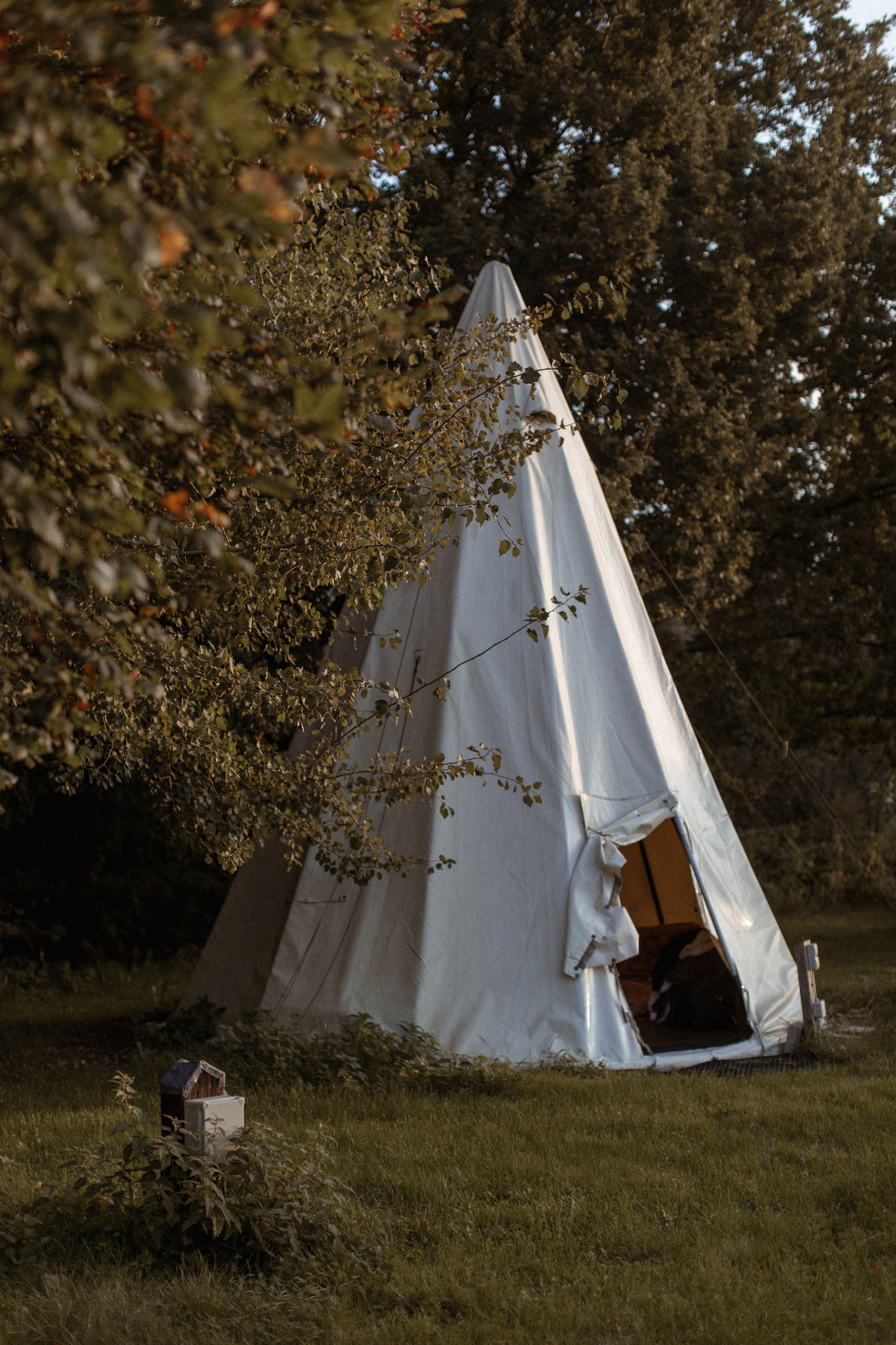 Yoga retreat. True self