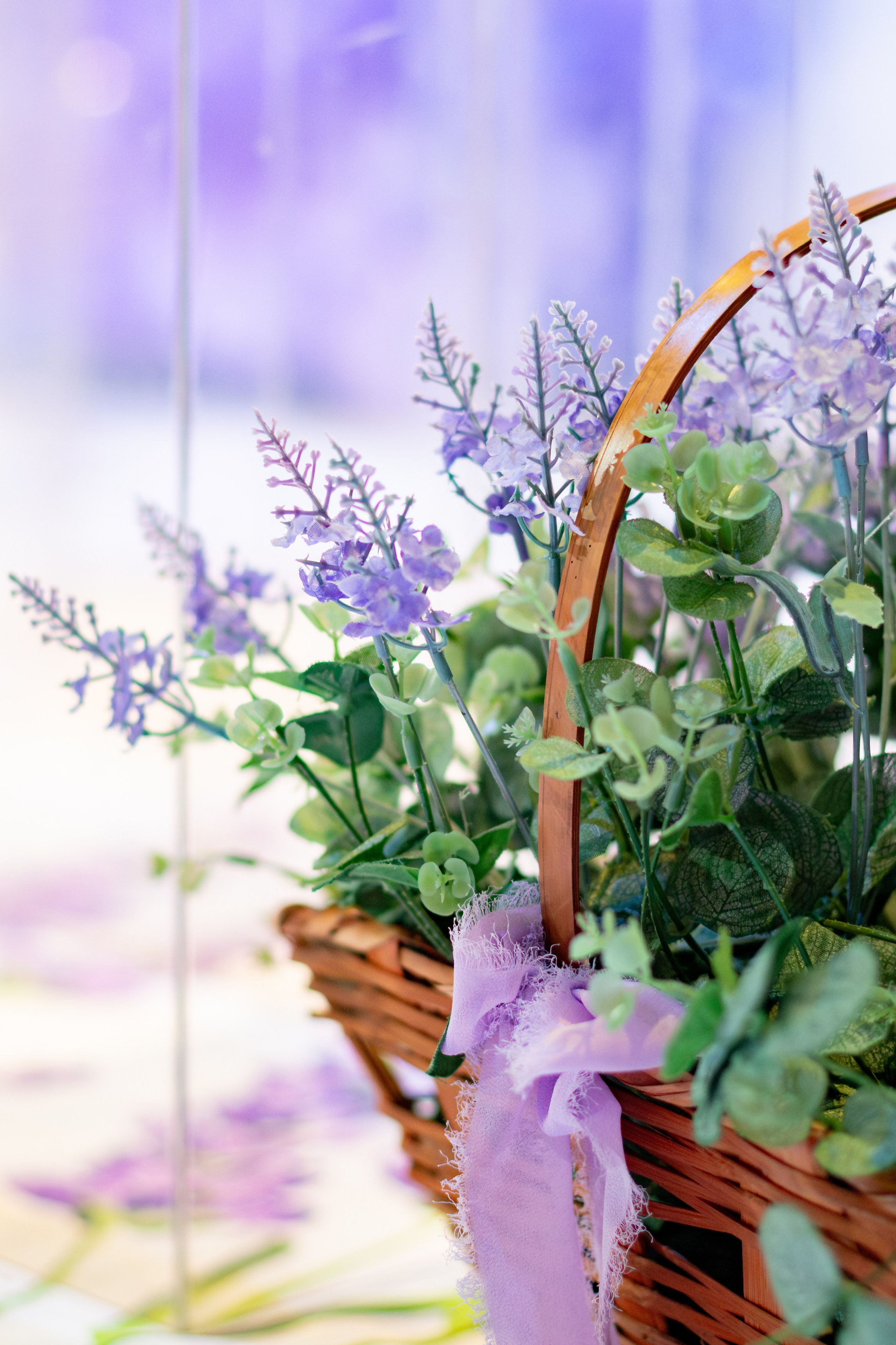 Stella — Aniversário 6 anos. Principal