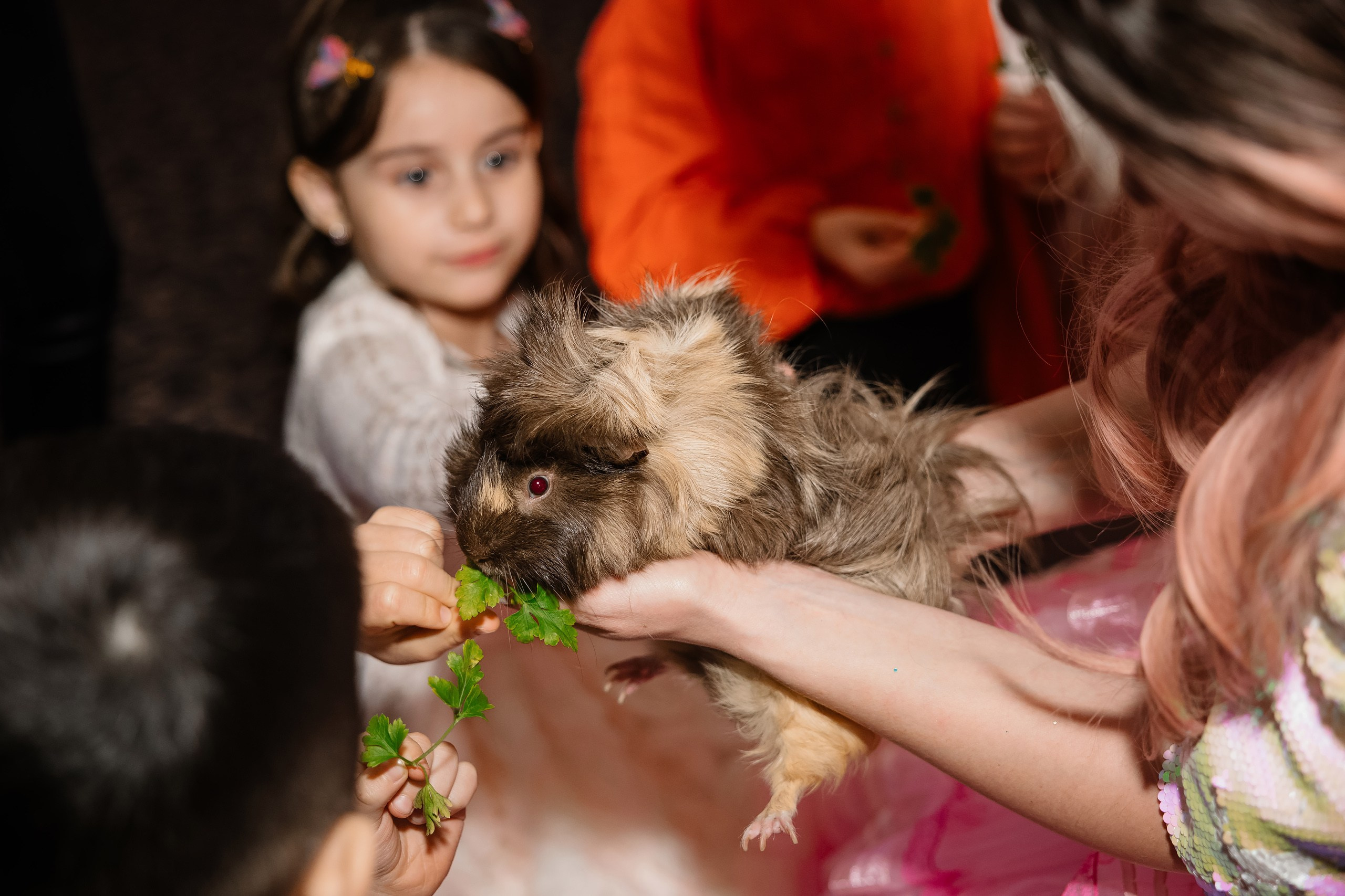 04.13.2025 First birthday. Wedding family event photographer in Chicago Nick Yushevich