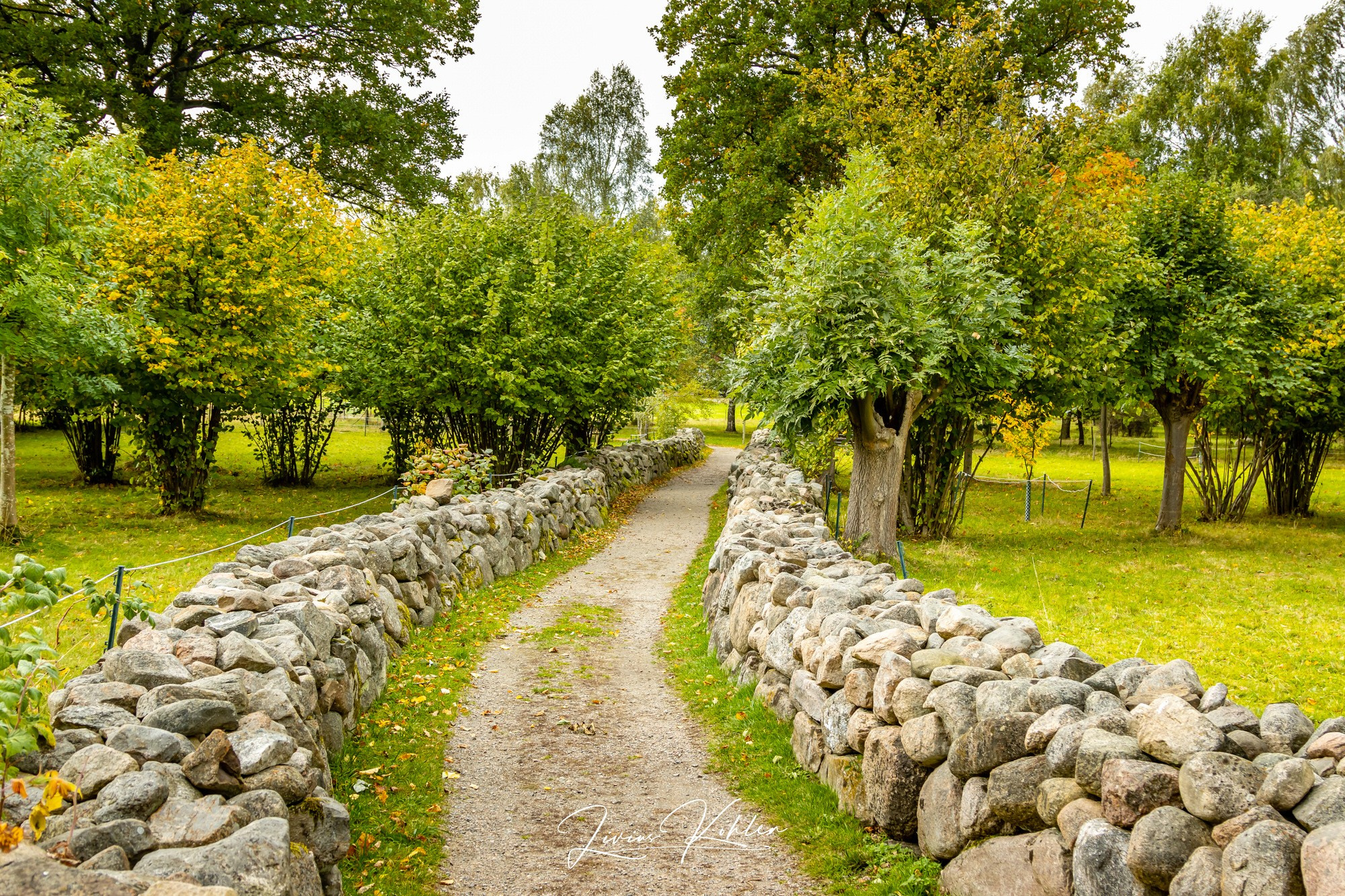 Schweden. FOTO KREATIV
