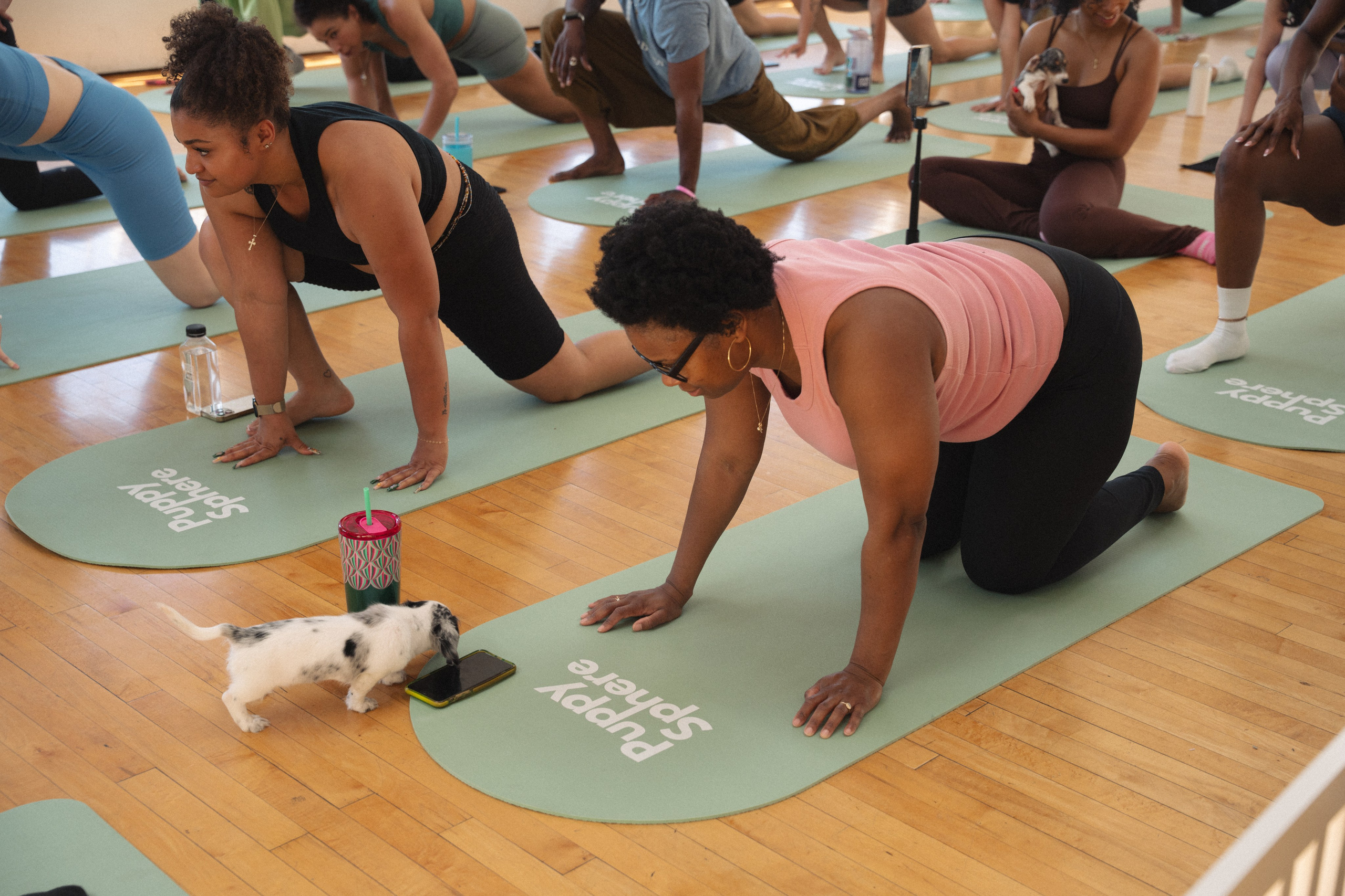 Yoga event in Los Angeles. Event photographer. Events in Los Angeles. Fitness event in Los Angeles. Fitness event photographer