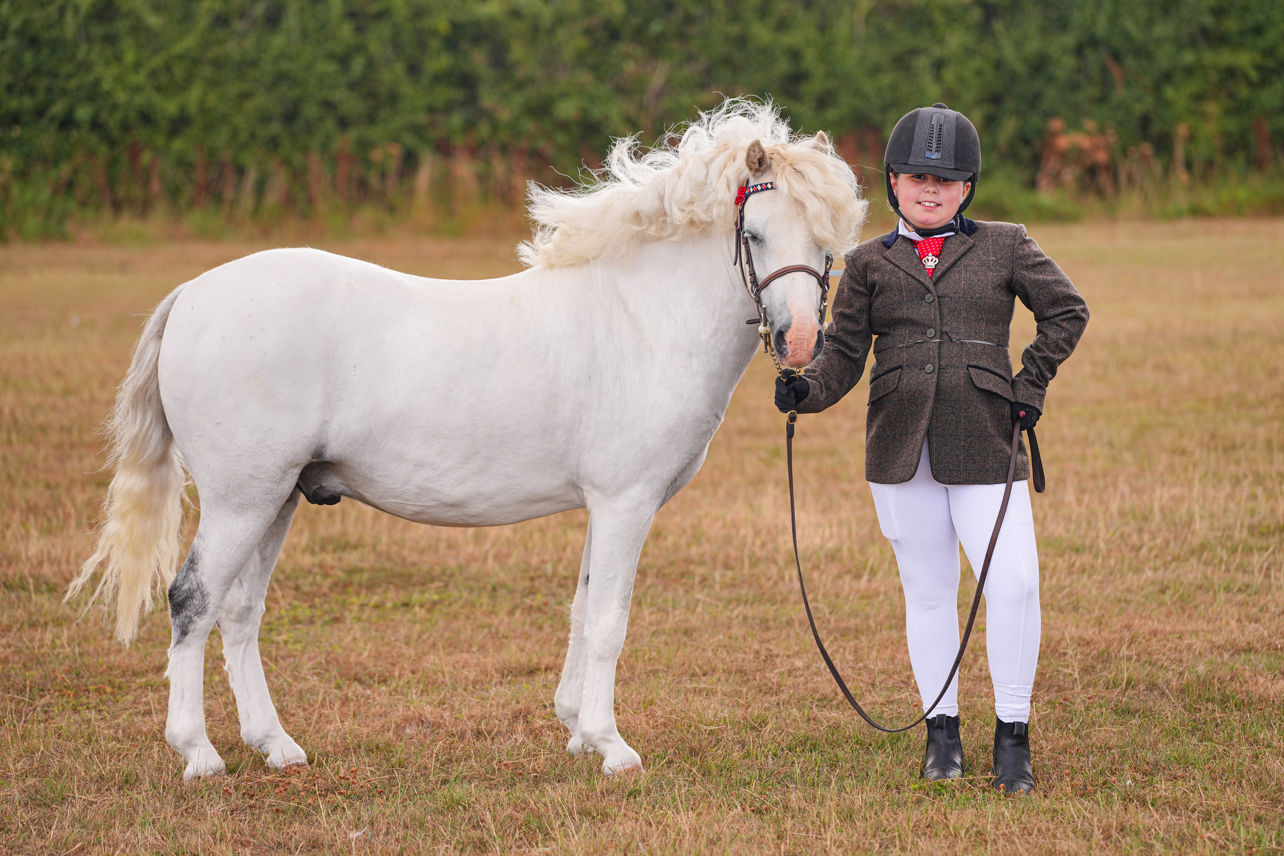 Showing. Leicestershire Equine Photography by El | Authentic Equine Portraits & Events