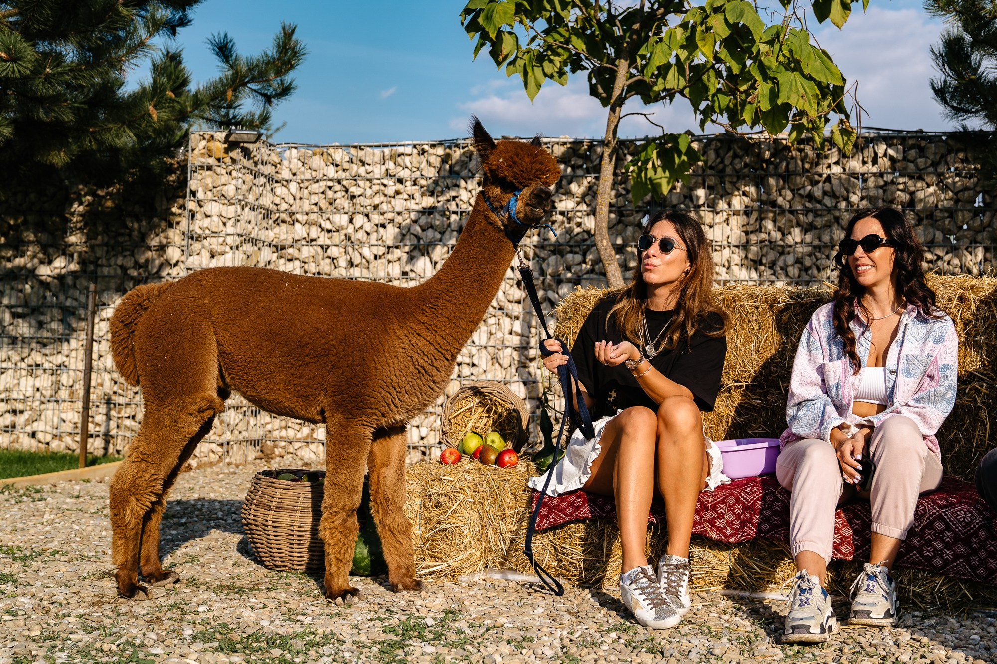 Openings & Brand Activation | Fotografie PR. Fotograf Corporate Business