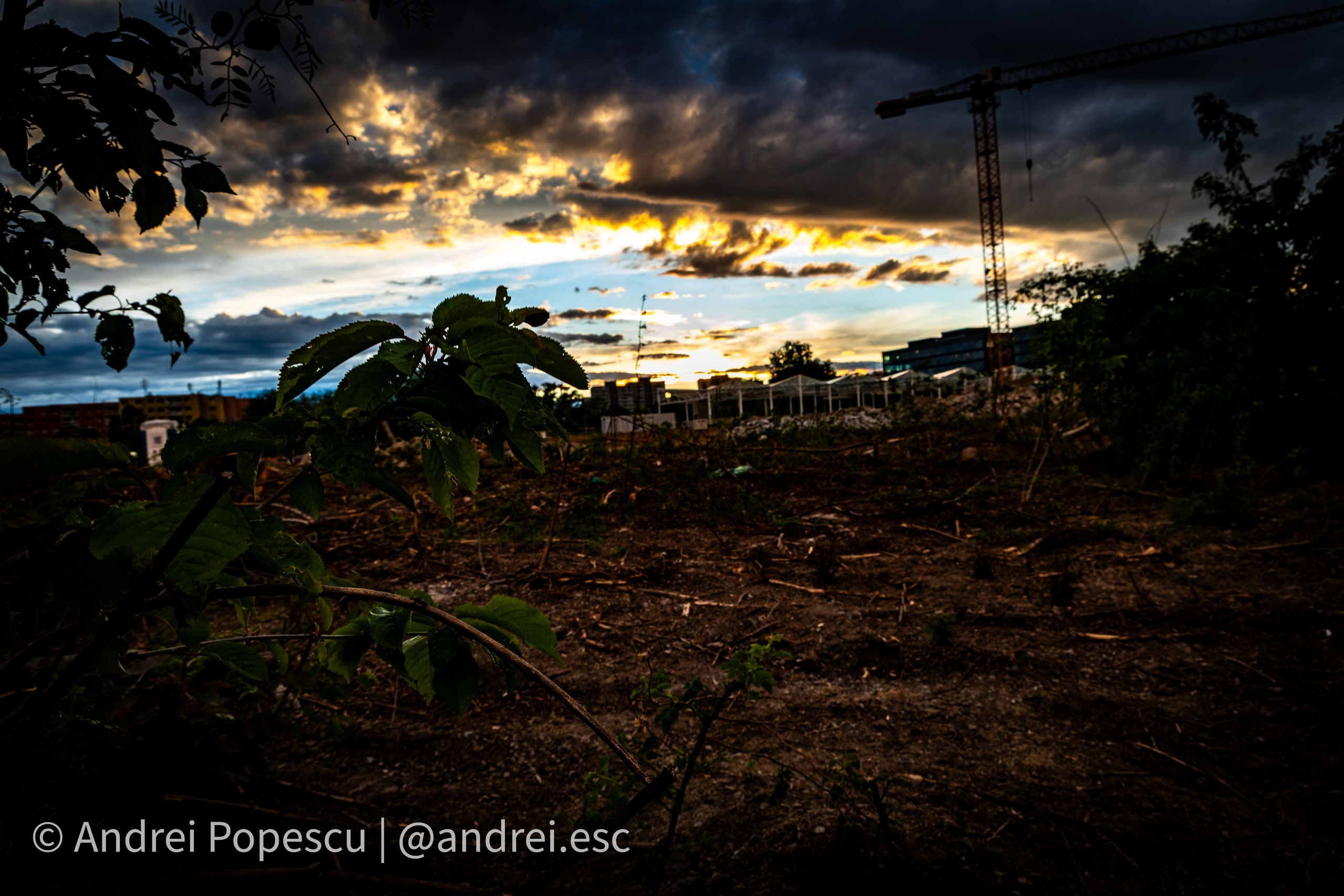 Scenery. Andrei Popescu Photography
