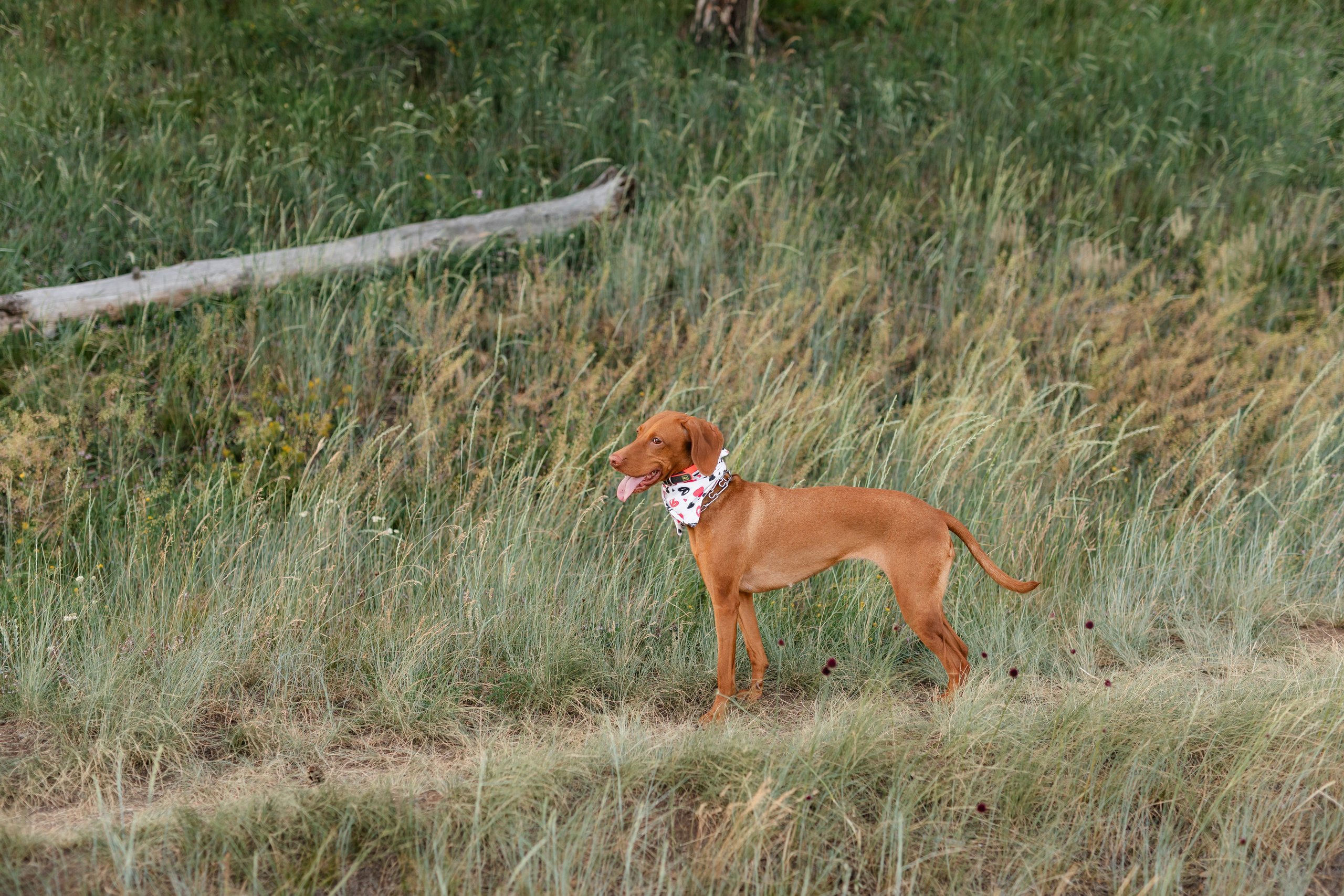 Nico, Luci & Ilaria — Family. Main
