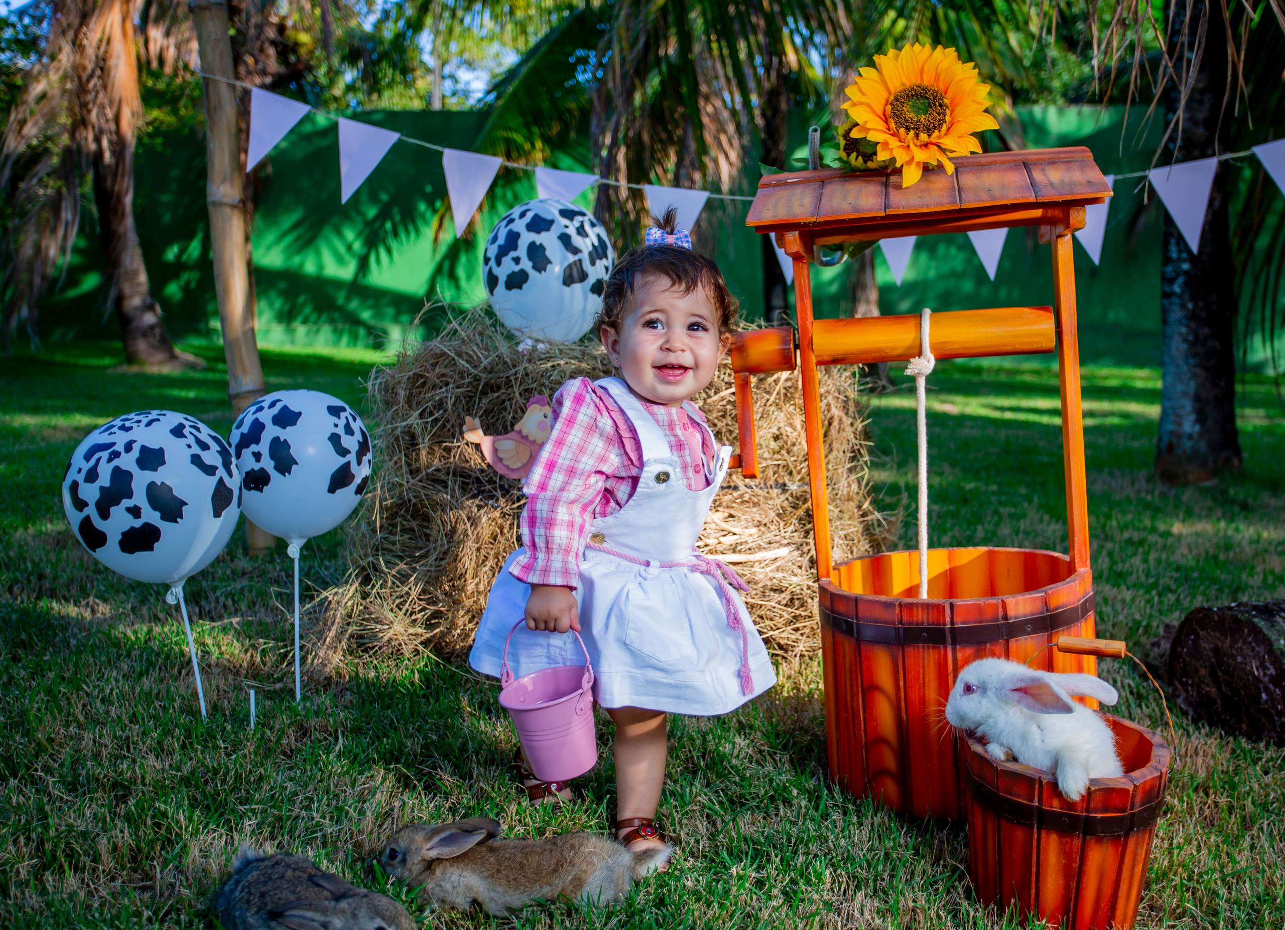 Ensaio Hanna 1 Ano. Flavio Nunes Fotografia (Fotografo especializado em Fotografia de 15 Anos e Ensaios)