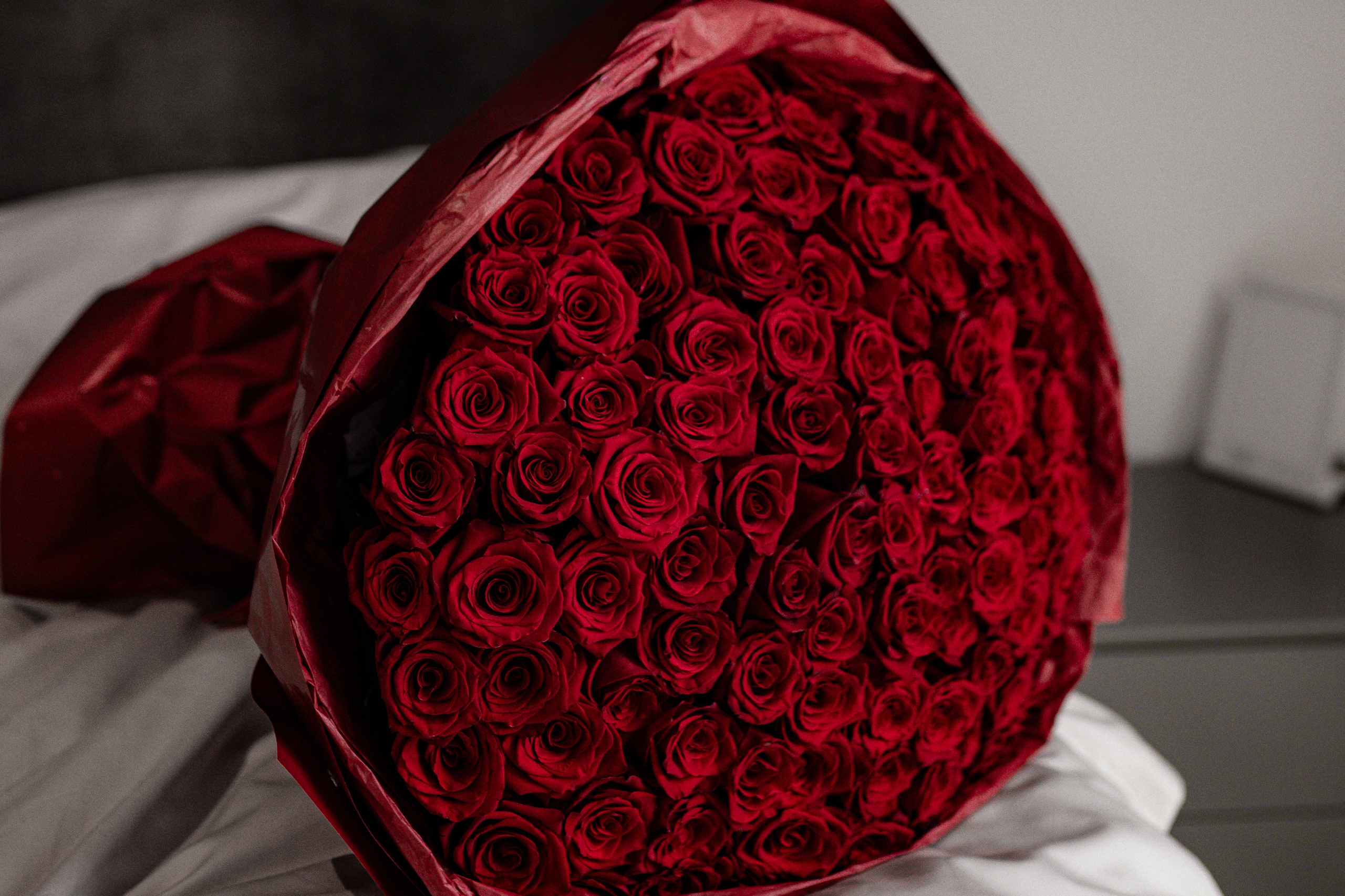 Daria. Tonya Kyrylenko photographer in London