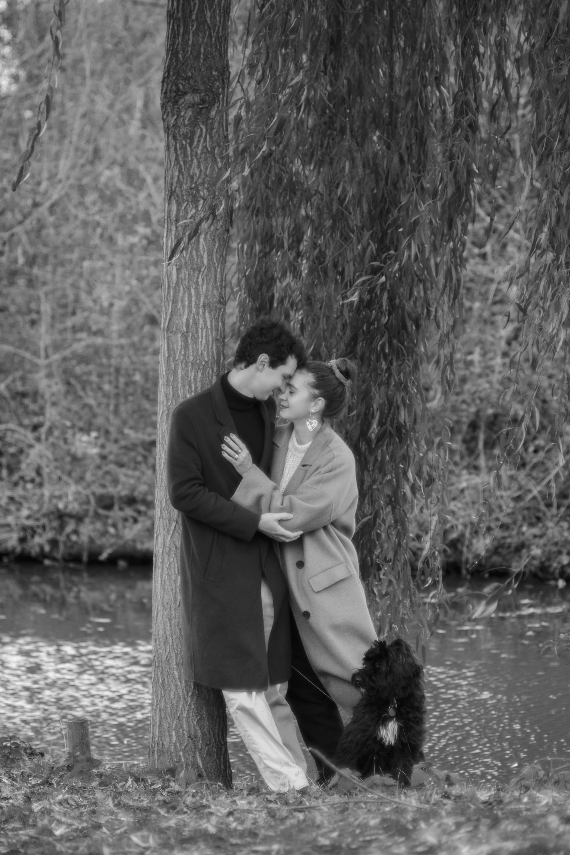 Pet Photoshoot in Spijkenisse | Rotterdam. Romantic & Soulful Photography by Natalia Olhova in Rotterdam