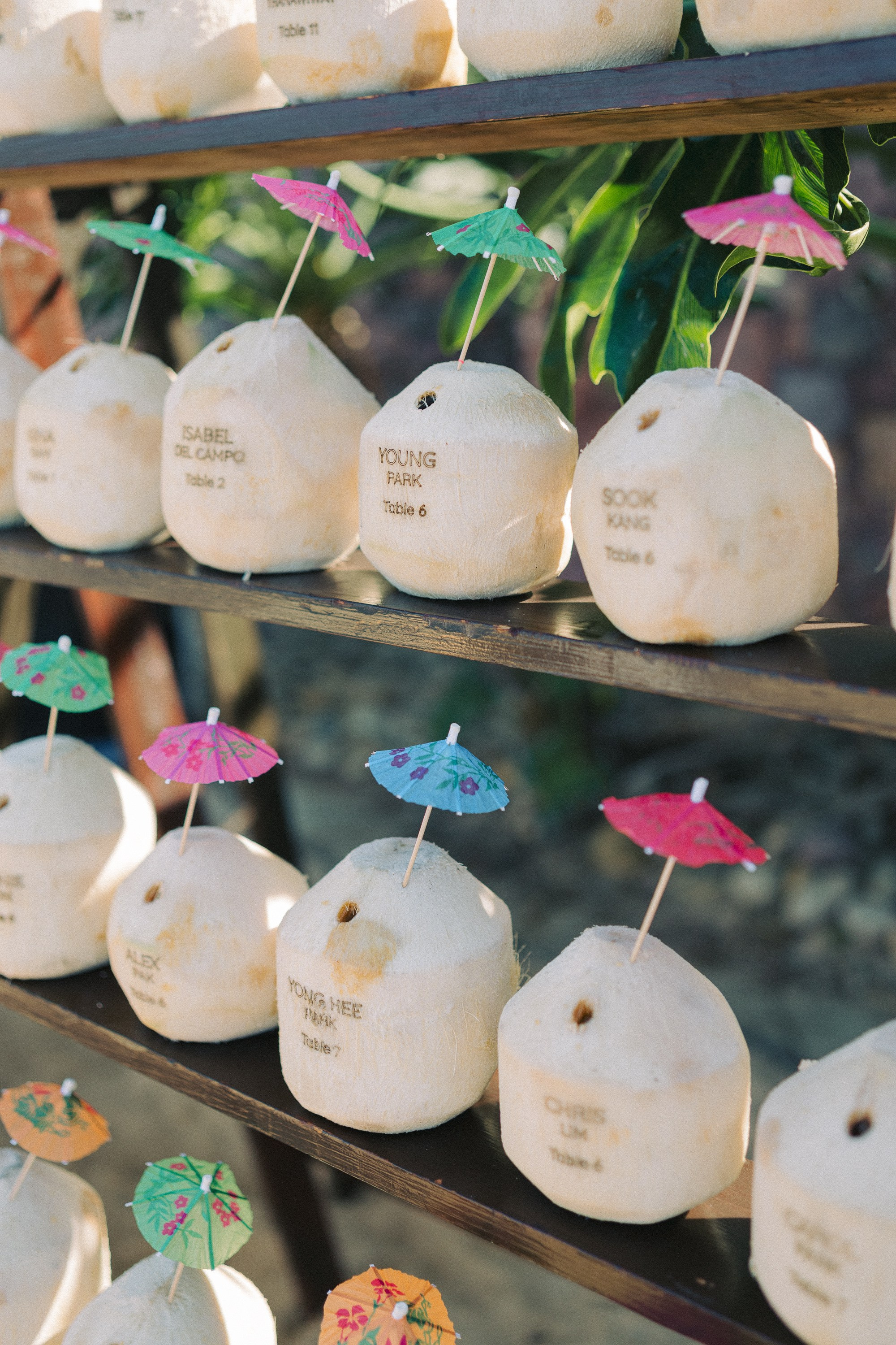 Double wedding. Sayulita Wedding Photographer, Puerto Vallarta, Cabo