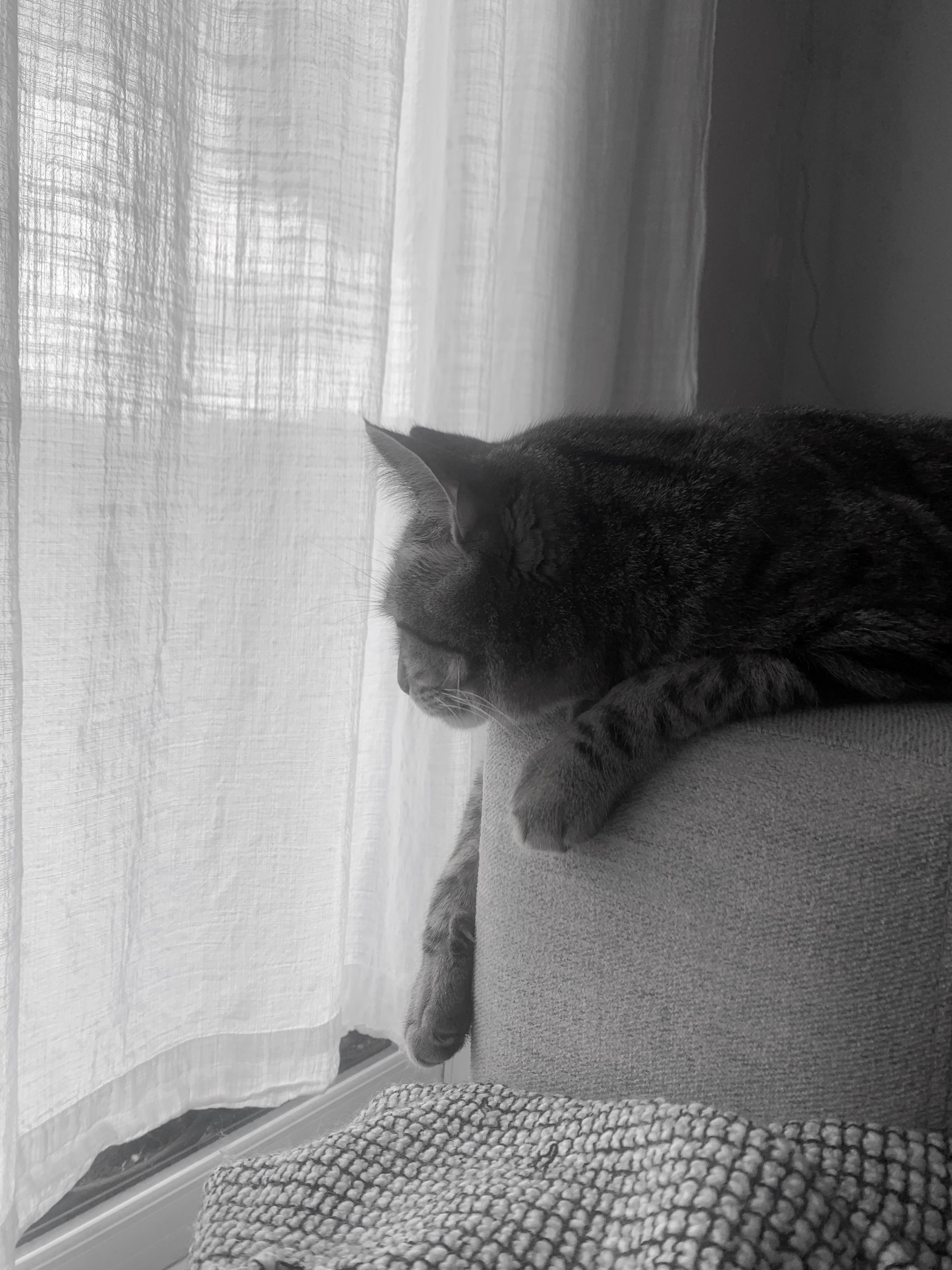 Lens Work lFrom the Field 8