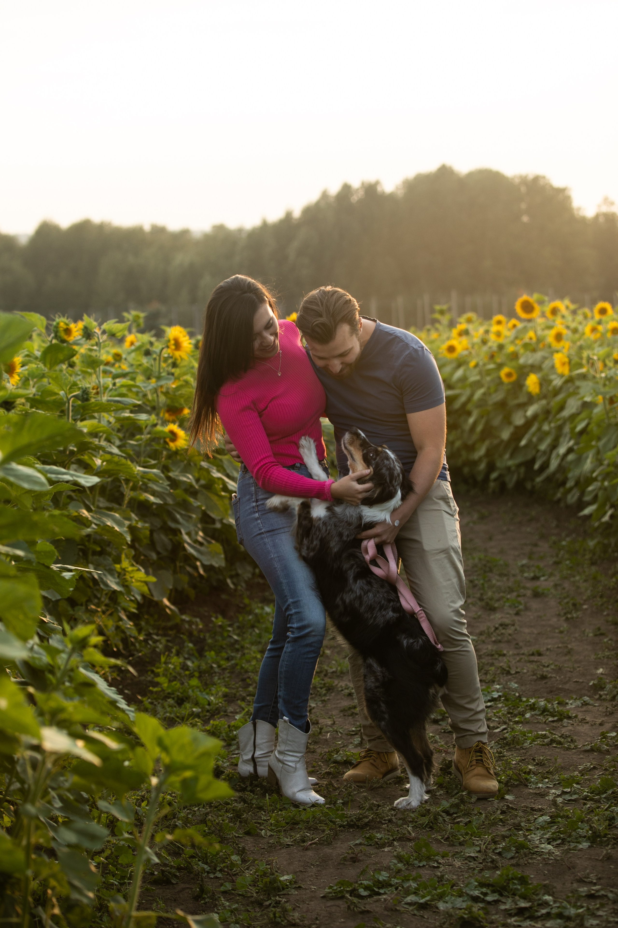Bowden Sunmaze Ana Pau. Fotografía accesible en Calgary