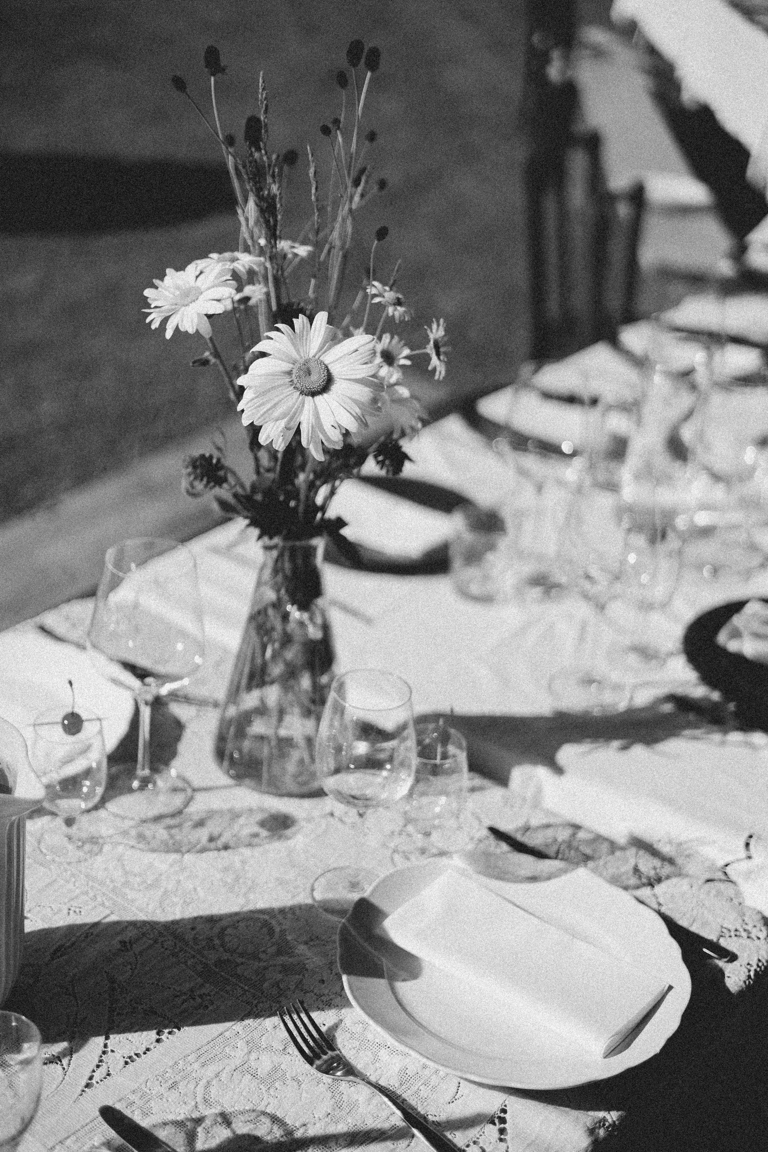 Vasara sode. Портретный фотограф Александра Самозванова