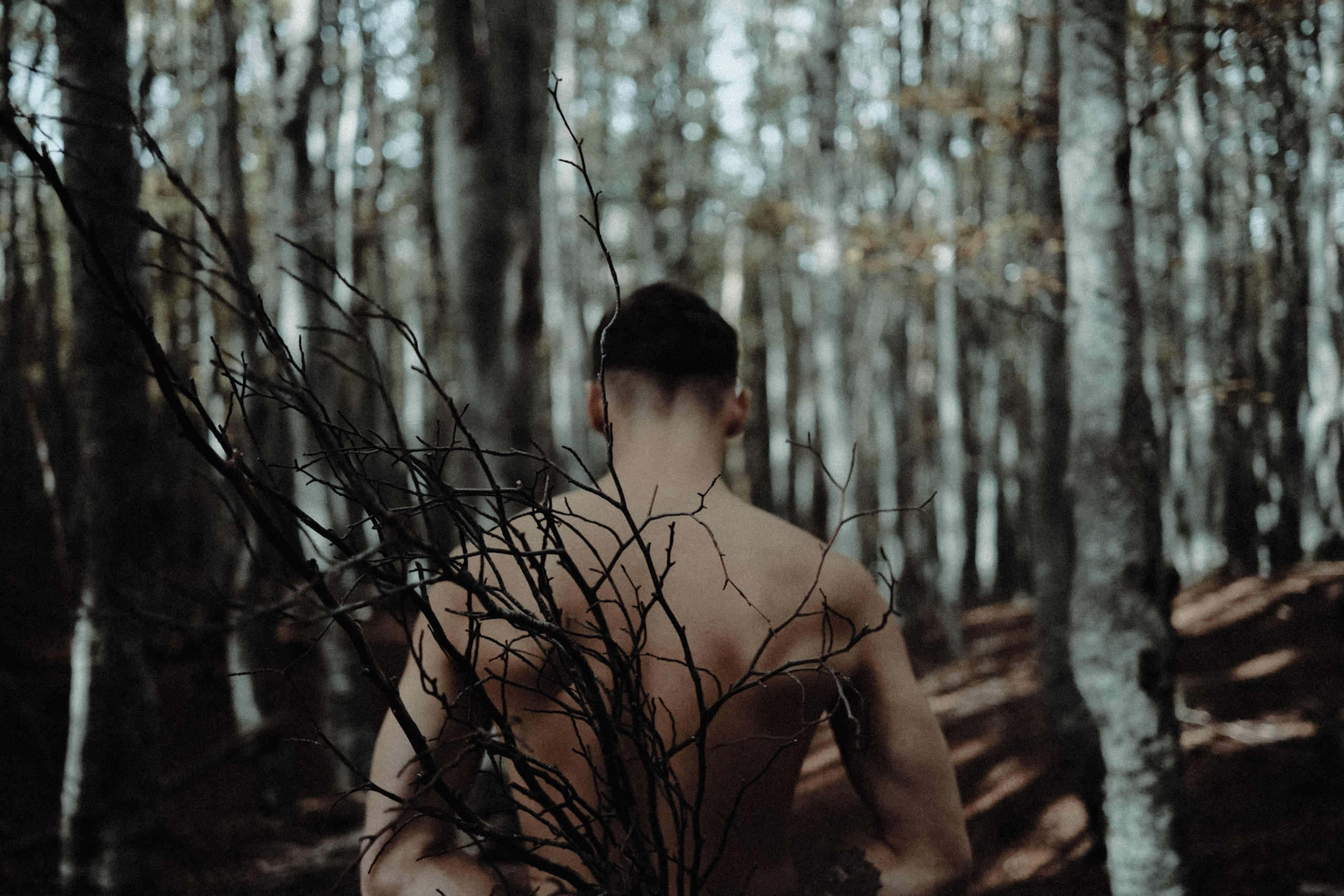 Nikita lost in the forest. Creative photographer in Madrid Anna Dvorianskaia