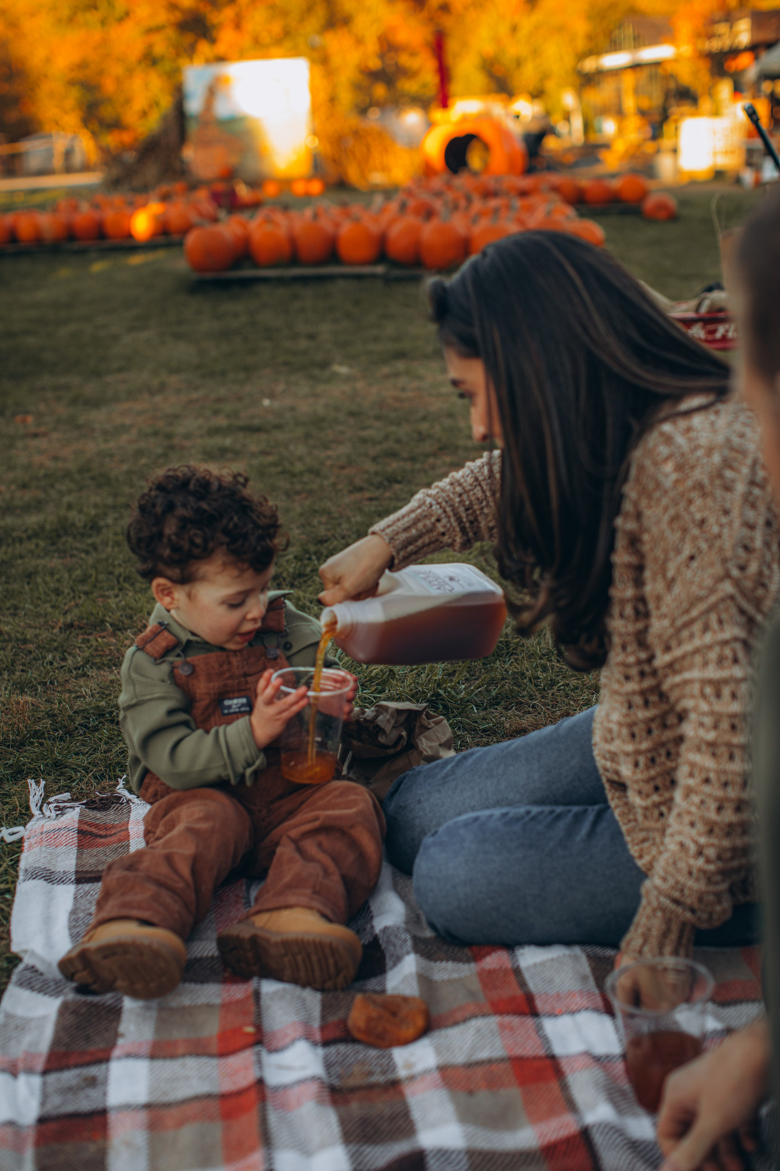 Victoria, Nick, Grayson and Noah at Harvest Moon Farm. Love Through Photo