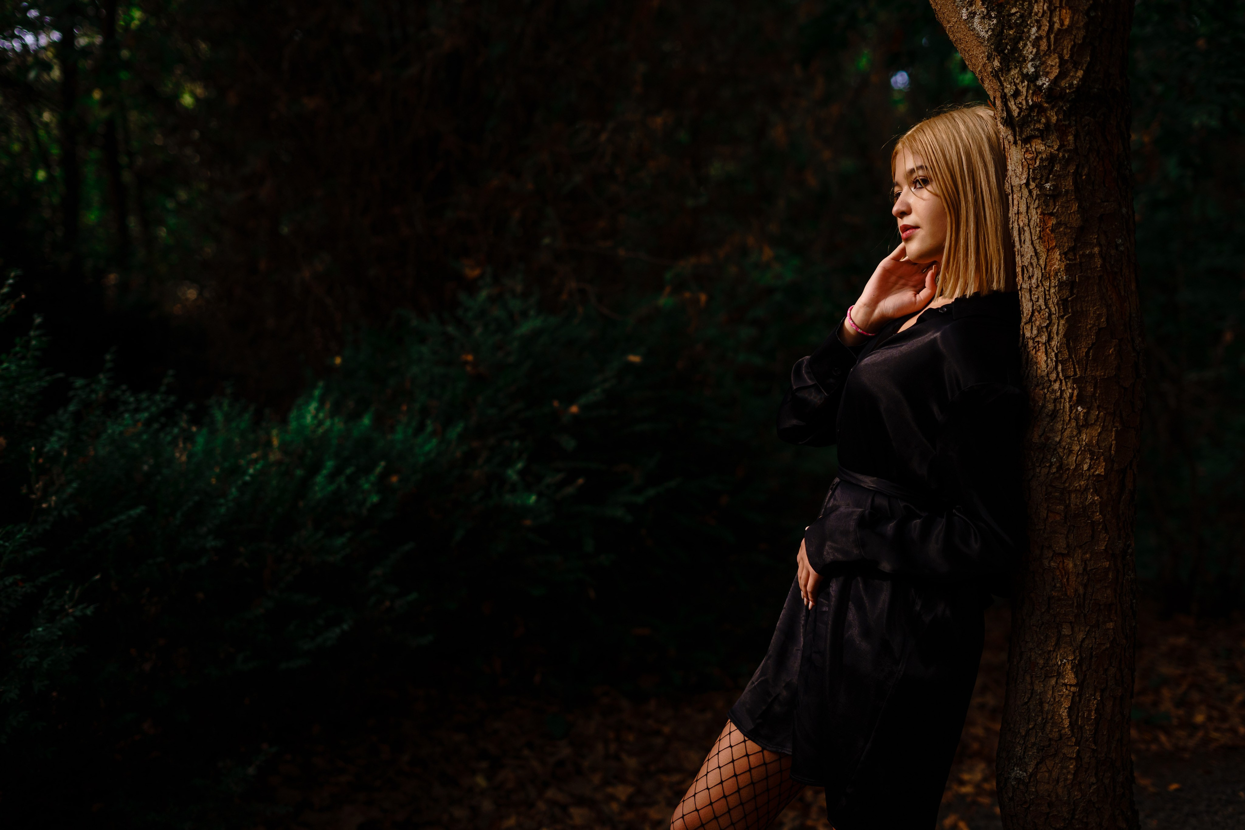 Castel Macea 150 lei/ toată clasa. Trendy Albums