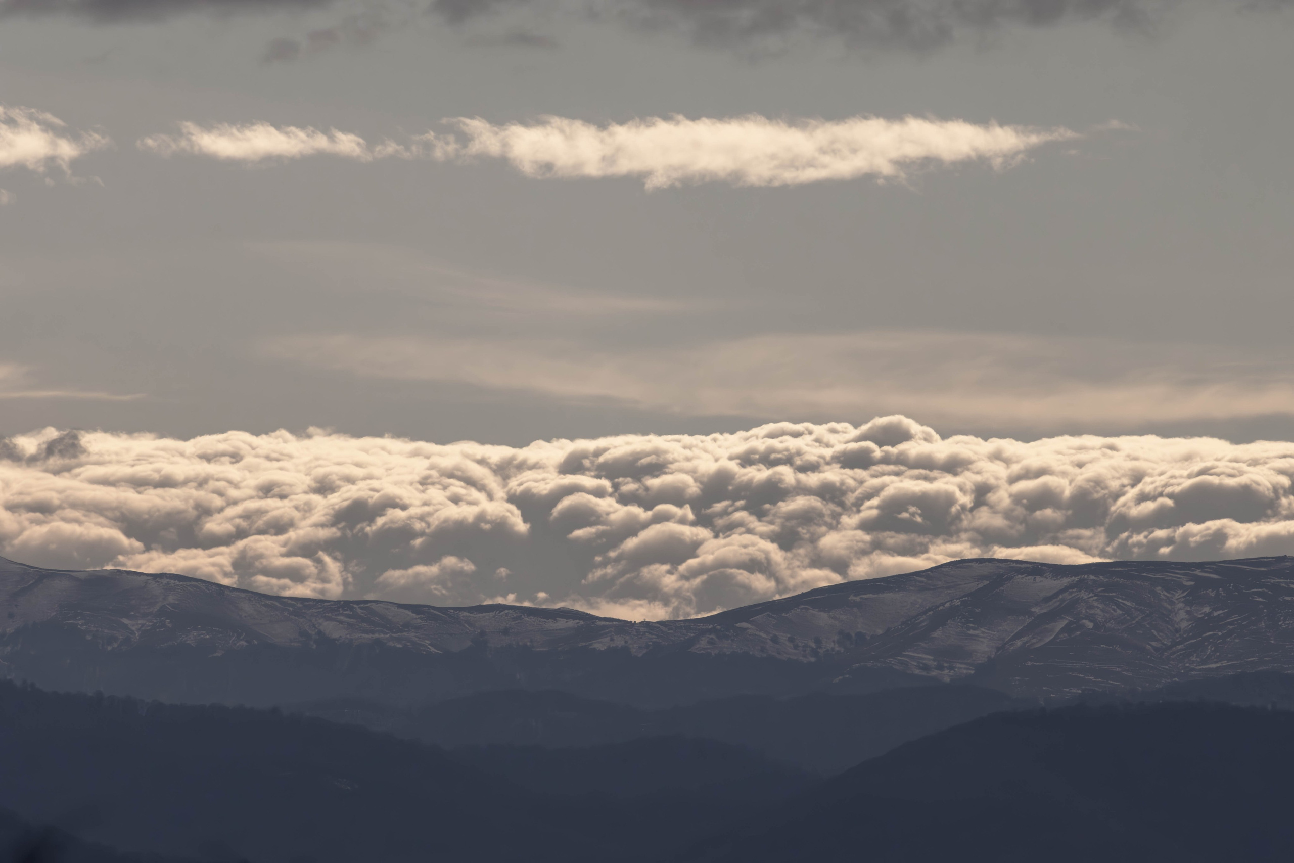 ბუნება. FramefreeMan