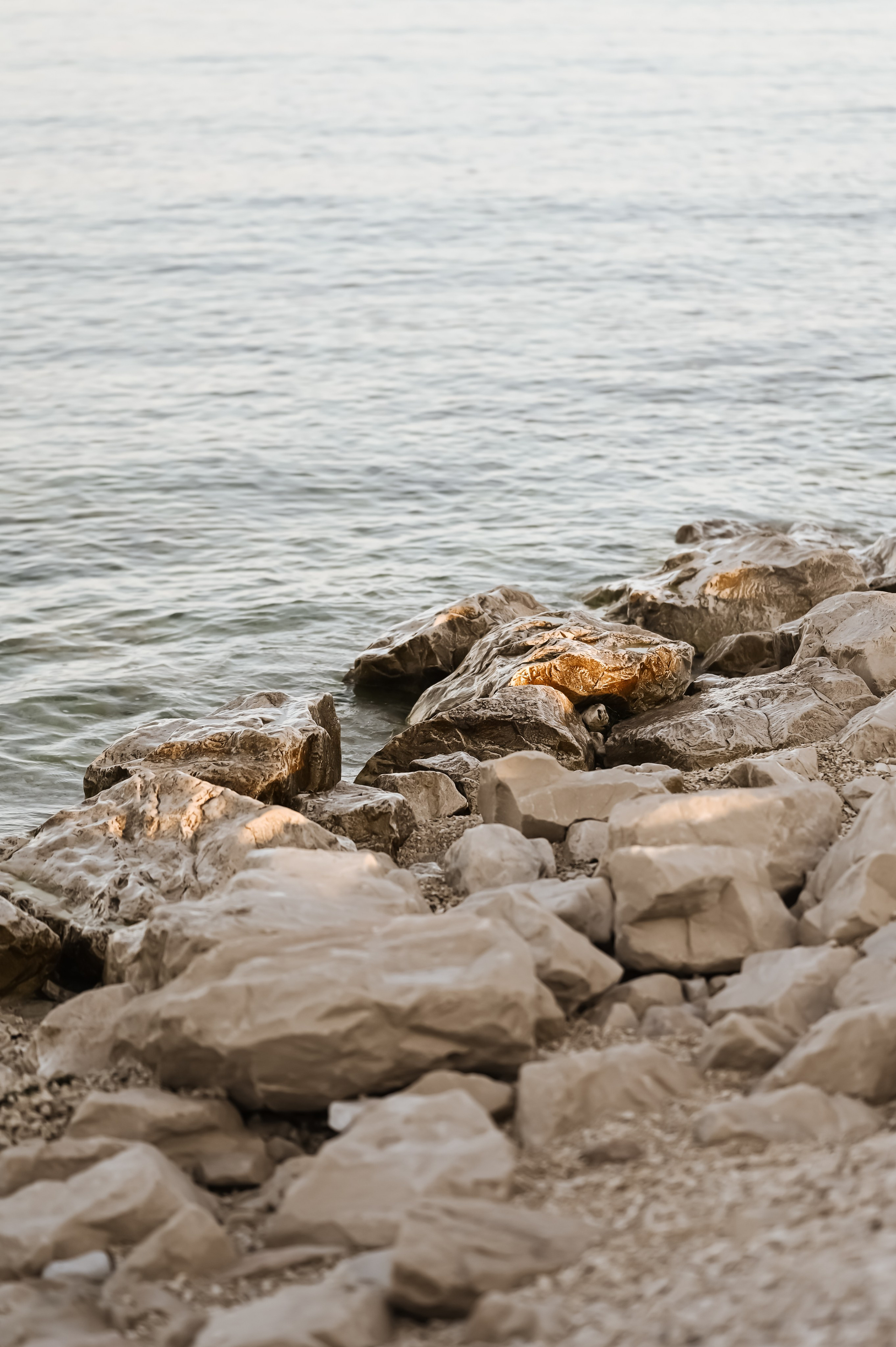 S + M. Josip Vranjković Weddings