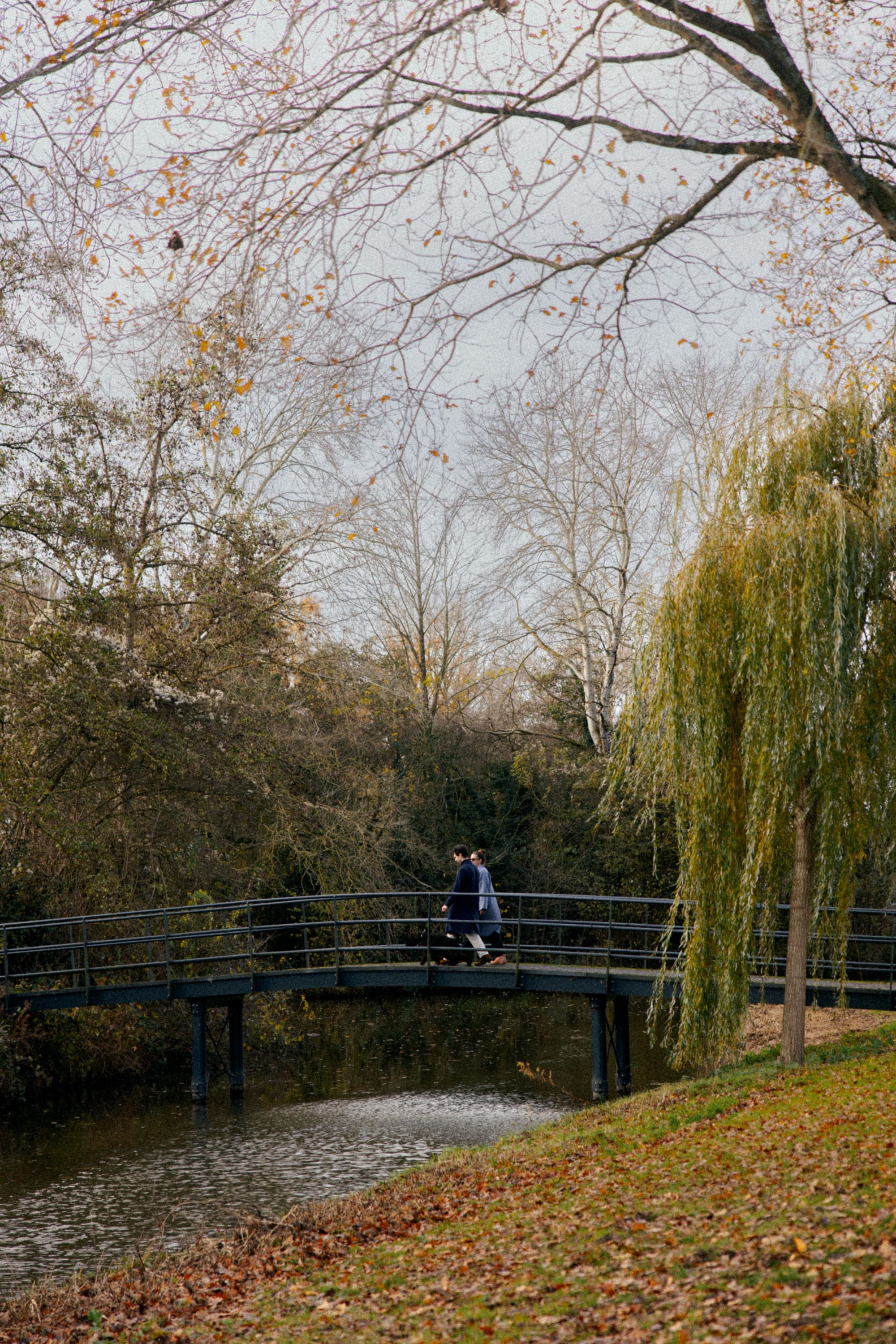 Pet Photoshoot in Spijkenisse | Rotterdam. Romantic & Soulful Photography by Natalia Olhova in Rotterdam