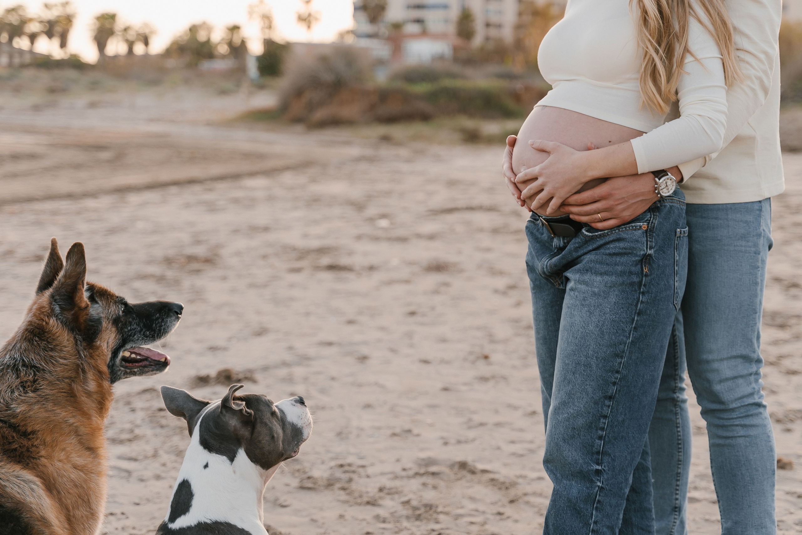 Ylenia, Adrian, Hurco y Wanda. Fotógrafa de bodas y familias en España, Valencia: Nadia ProFoto