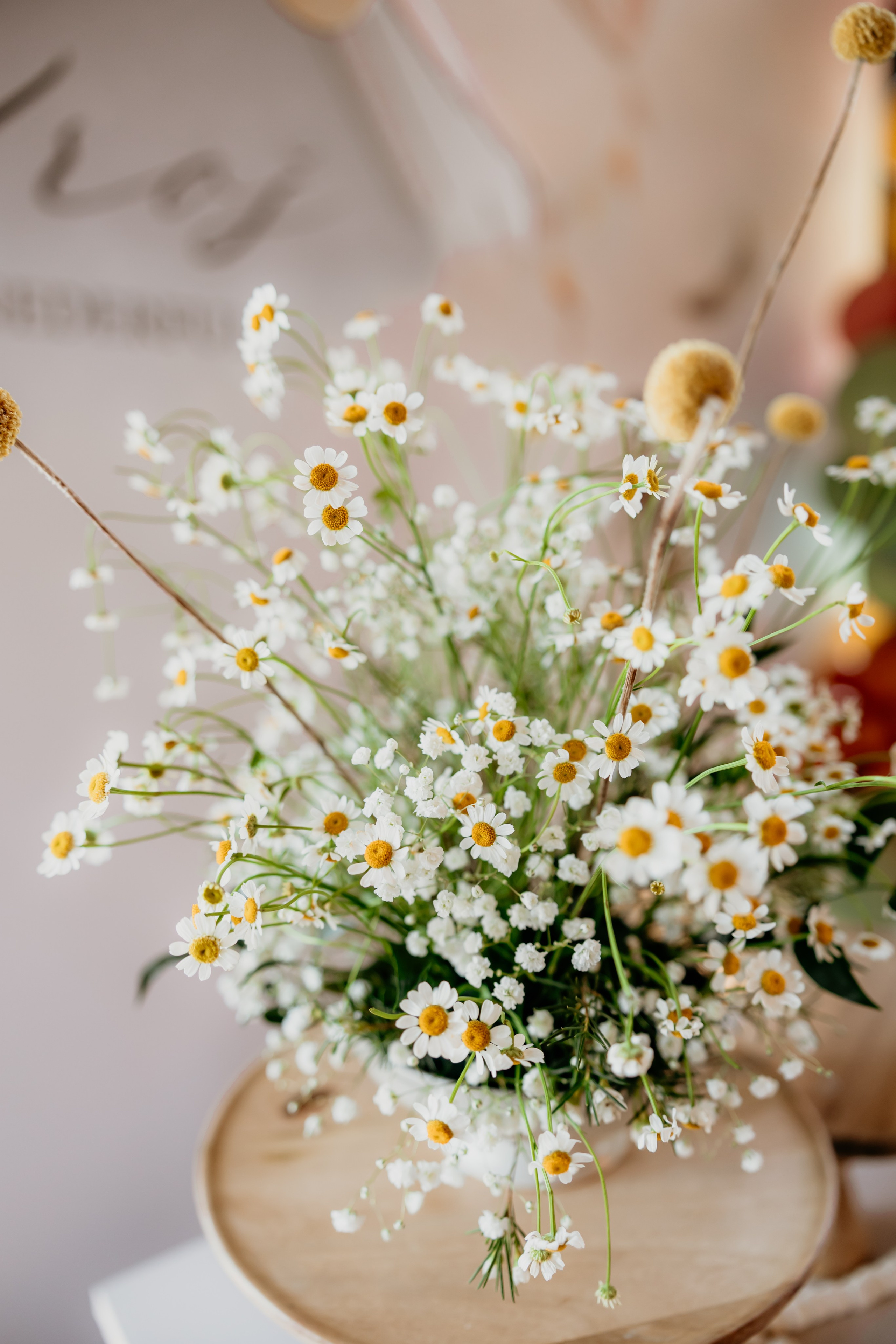 ROÐENDANAC. Family and children photographer in Belgrade Milja Ciric