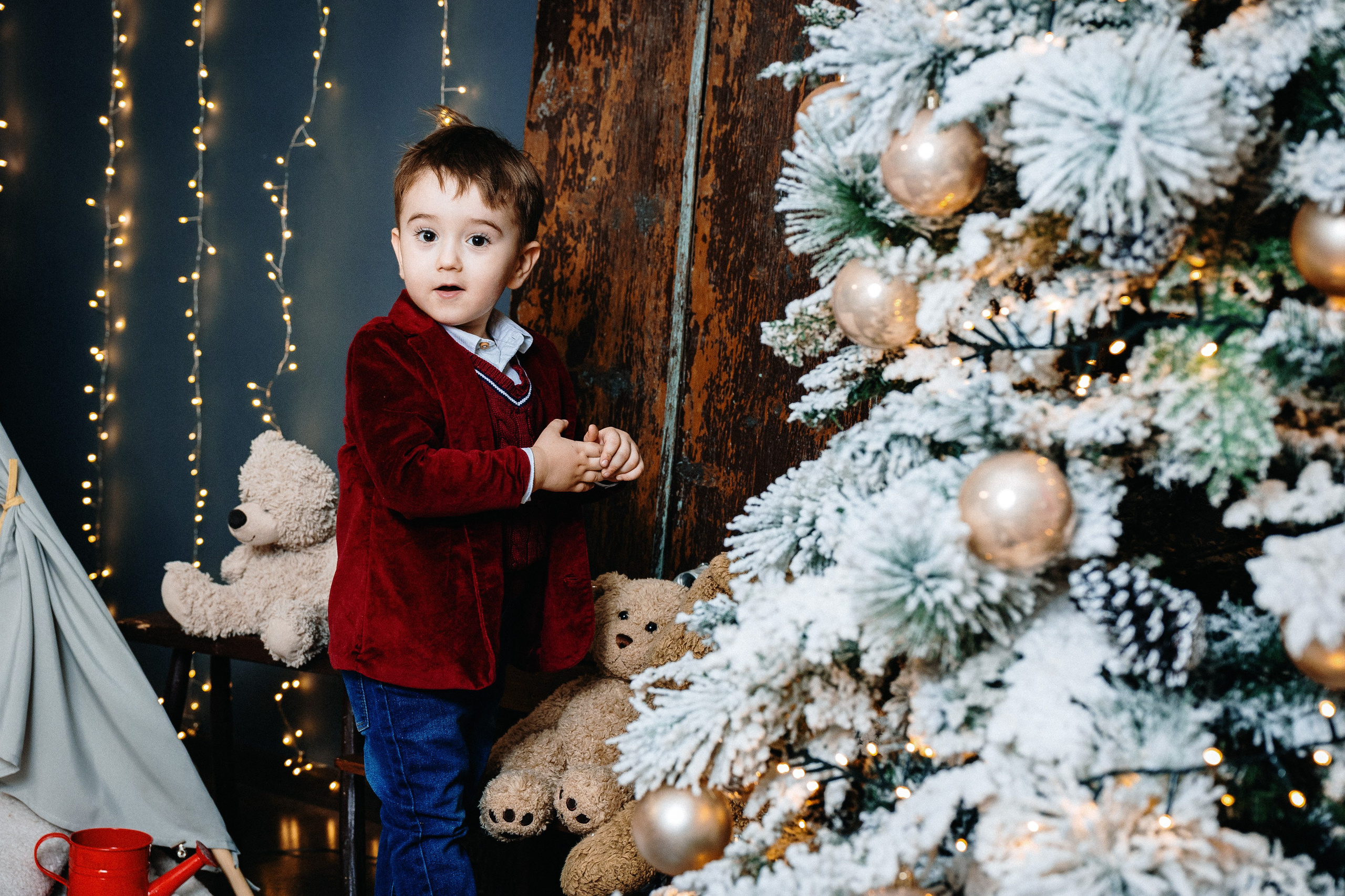 Novogodisnje fotografisanje erakovic. Aleksandar Šećerov photographer and videographer in Subotica, Serbia