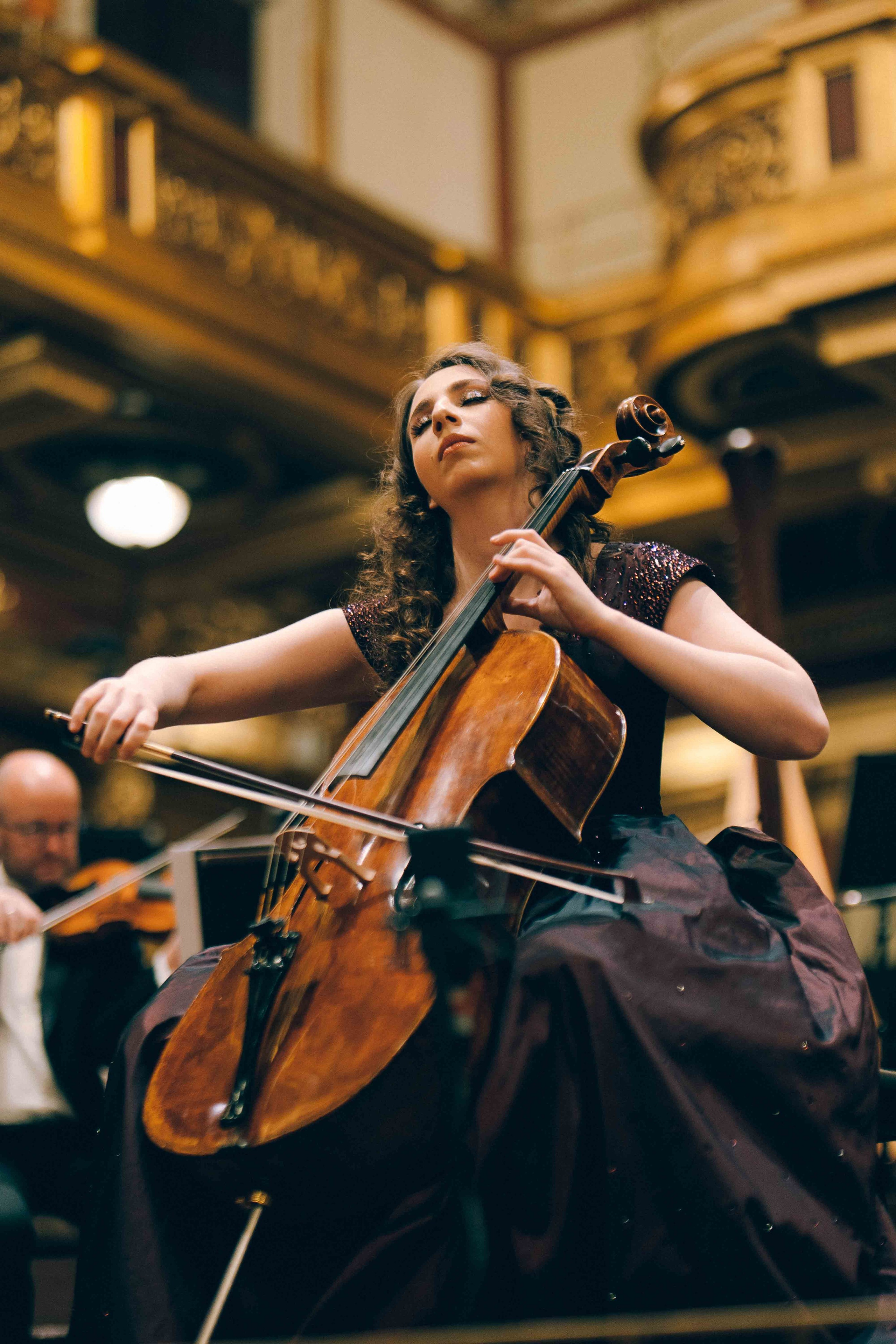 MUSIKVEREIN (VIENNA). Wedding&Event photographer Ismail Rzayev in Baku