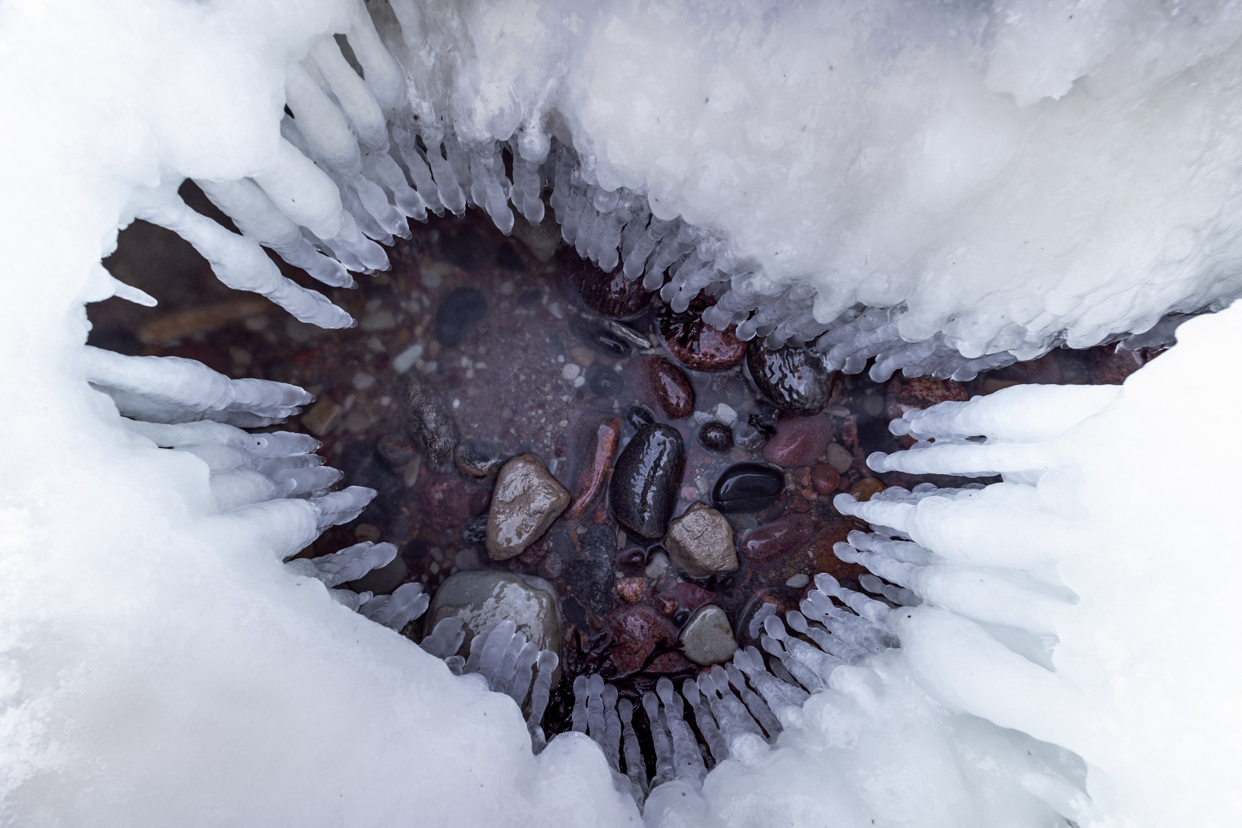 Street Photography. Portree- ja perefotograaf Anton Hansen Tallinnas, Eestis