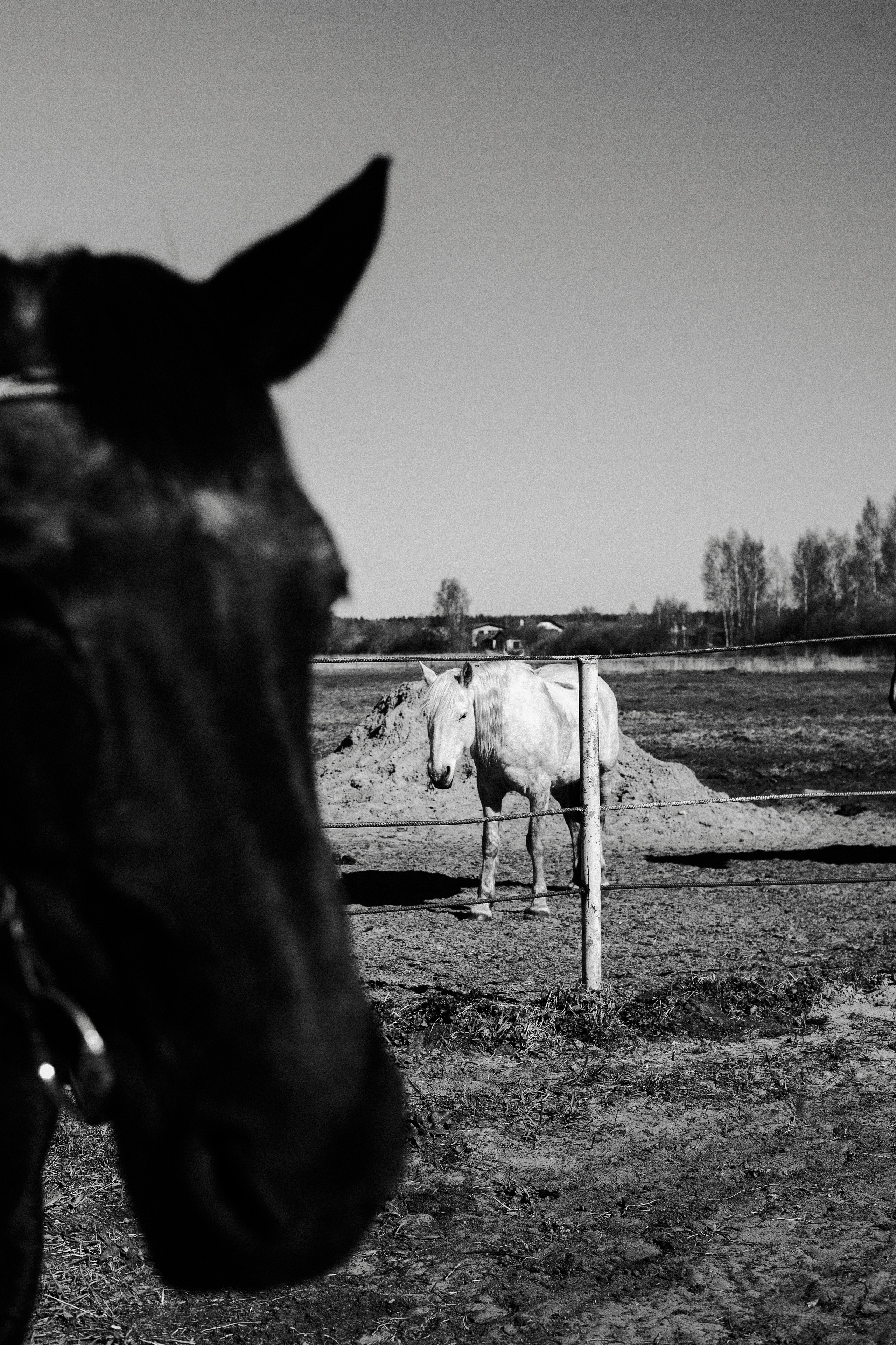 Кристина. Marianna.gluhova.photostory