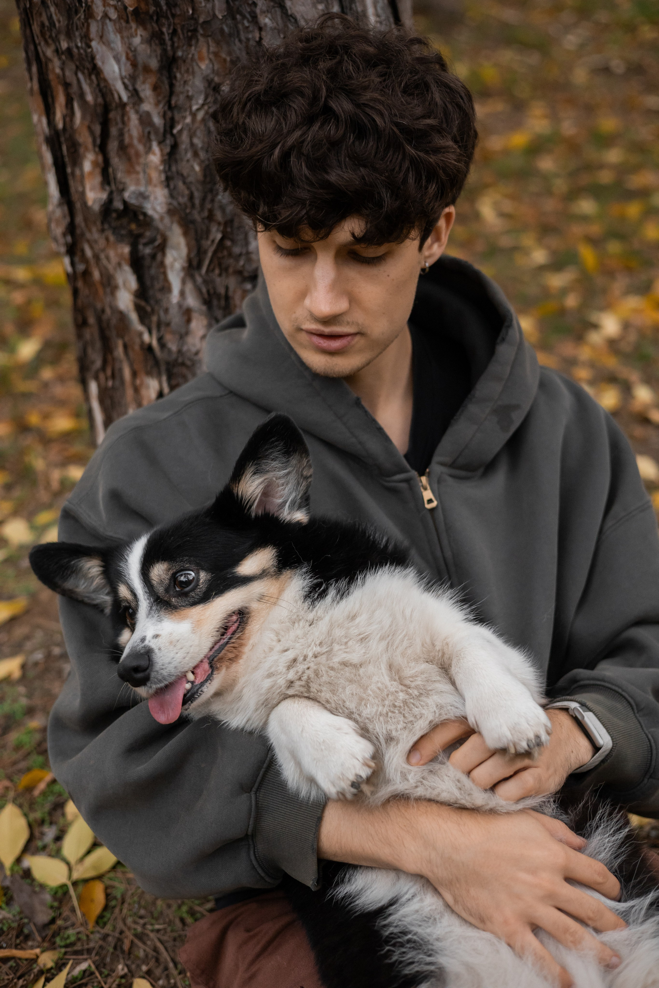 Даня, Аня и Плюша. Фотограф-анималист | Белград