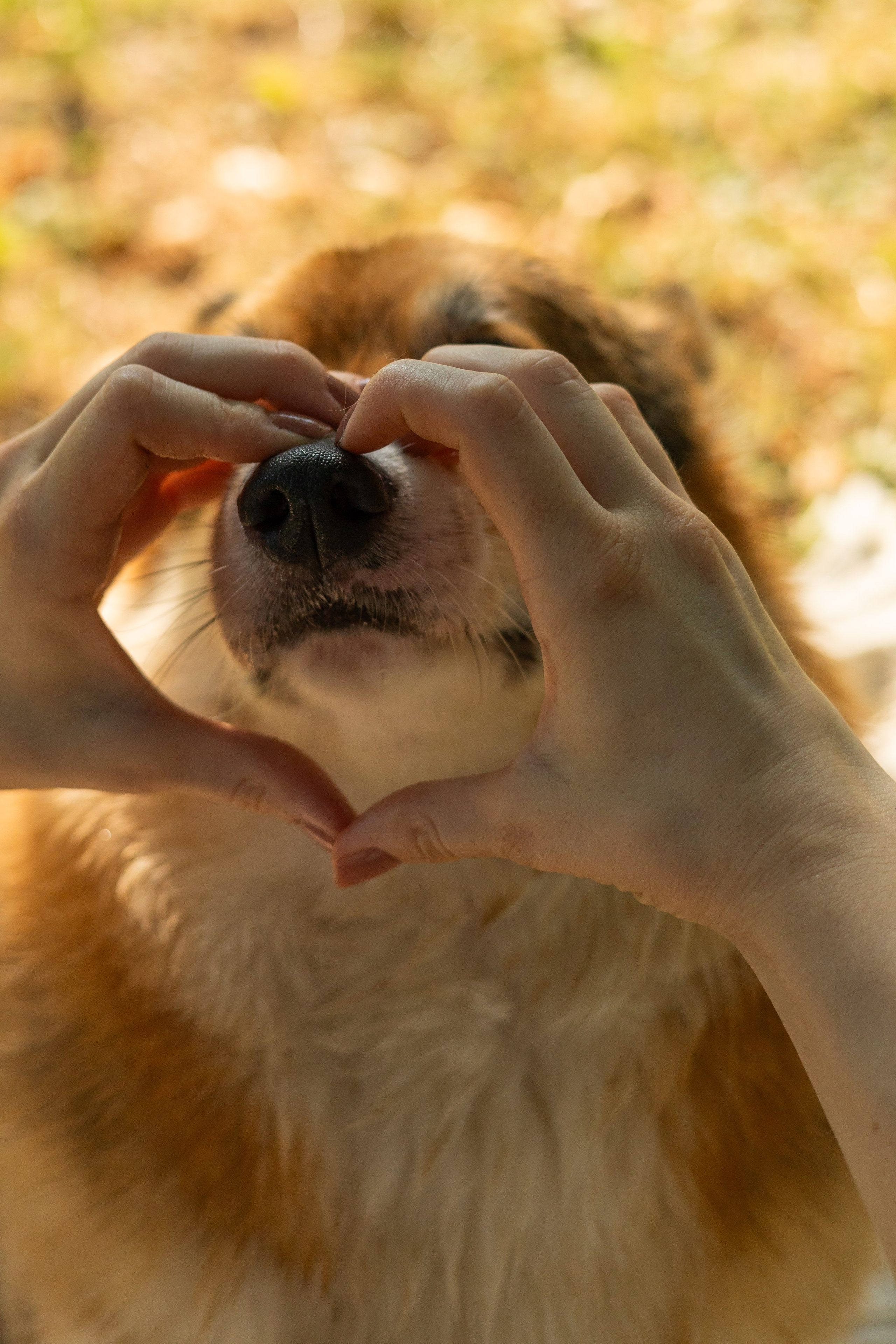 Мария и Санти. Фотограф-анималист | Белград