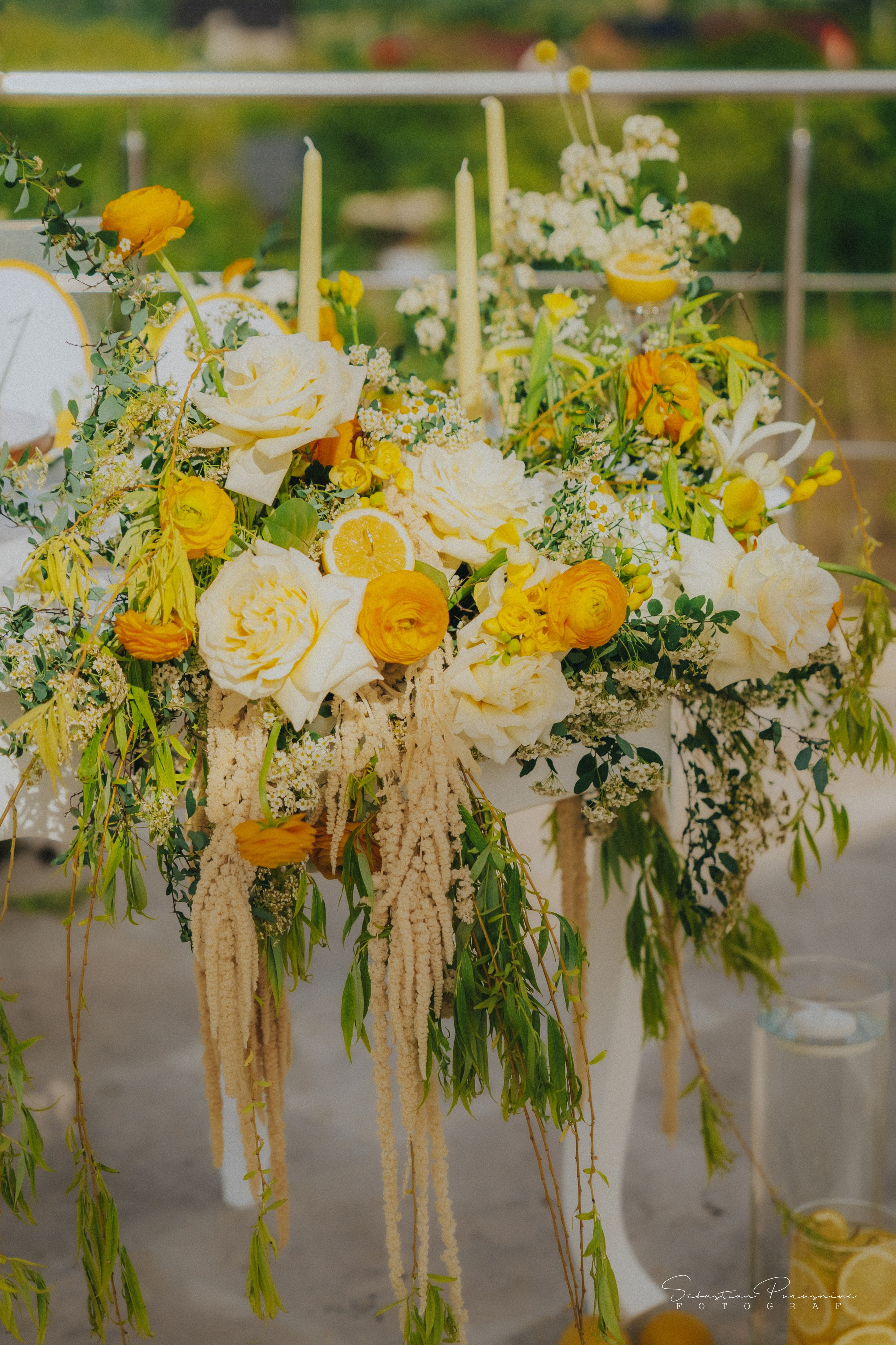 Love & Lemons. Sebastian Purusniuc Fotograf - Iasi