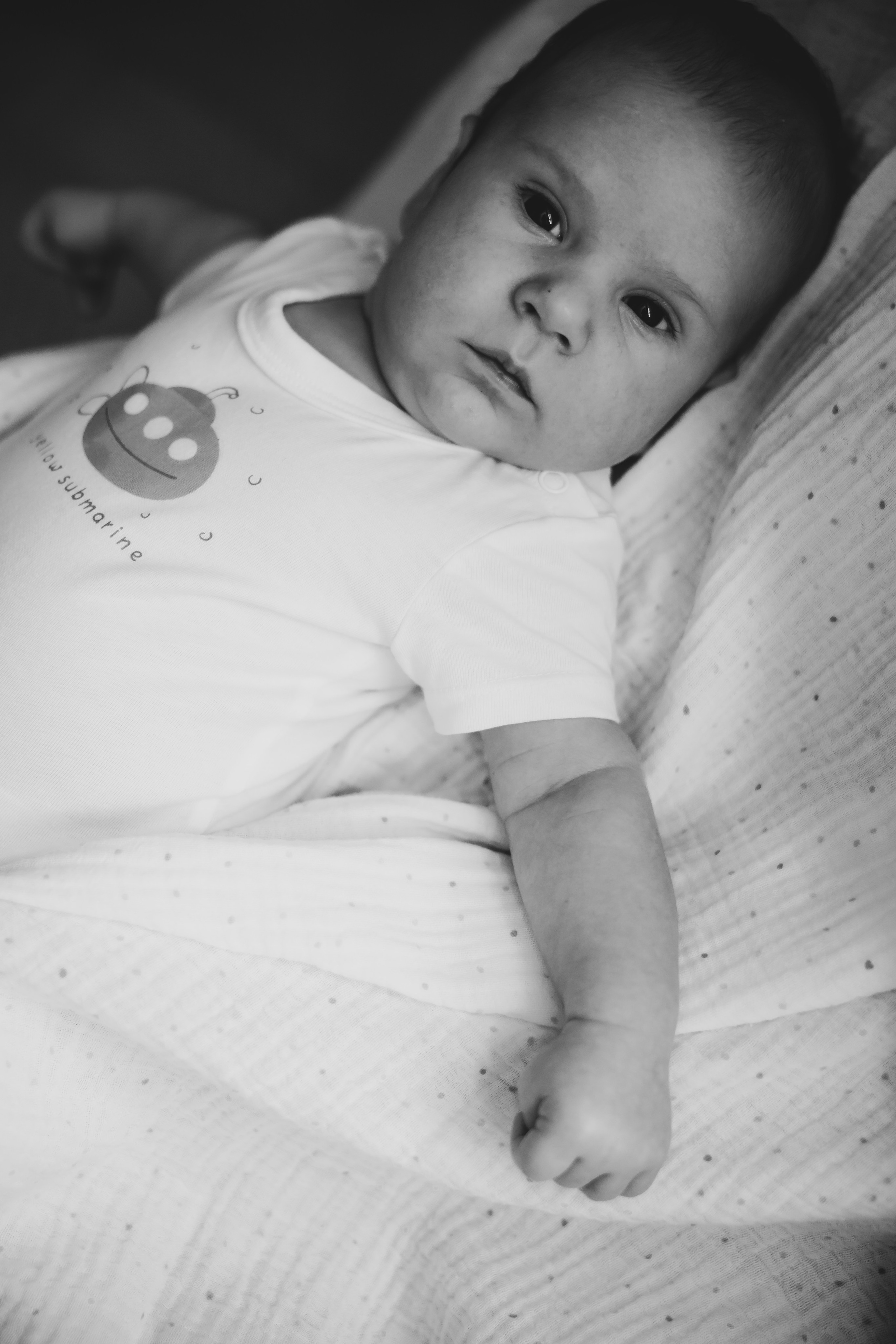 Bebe D. Home