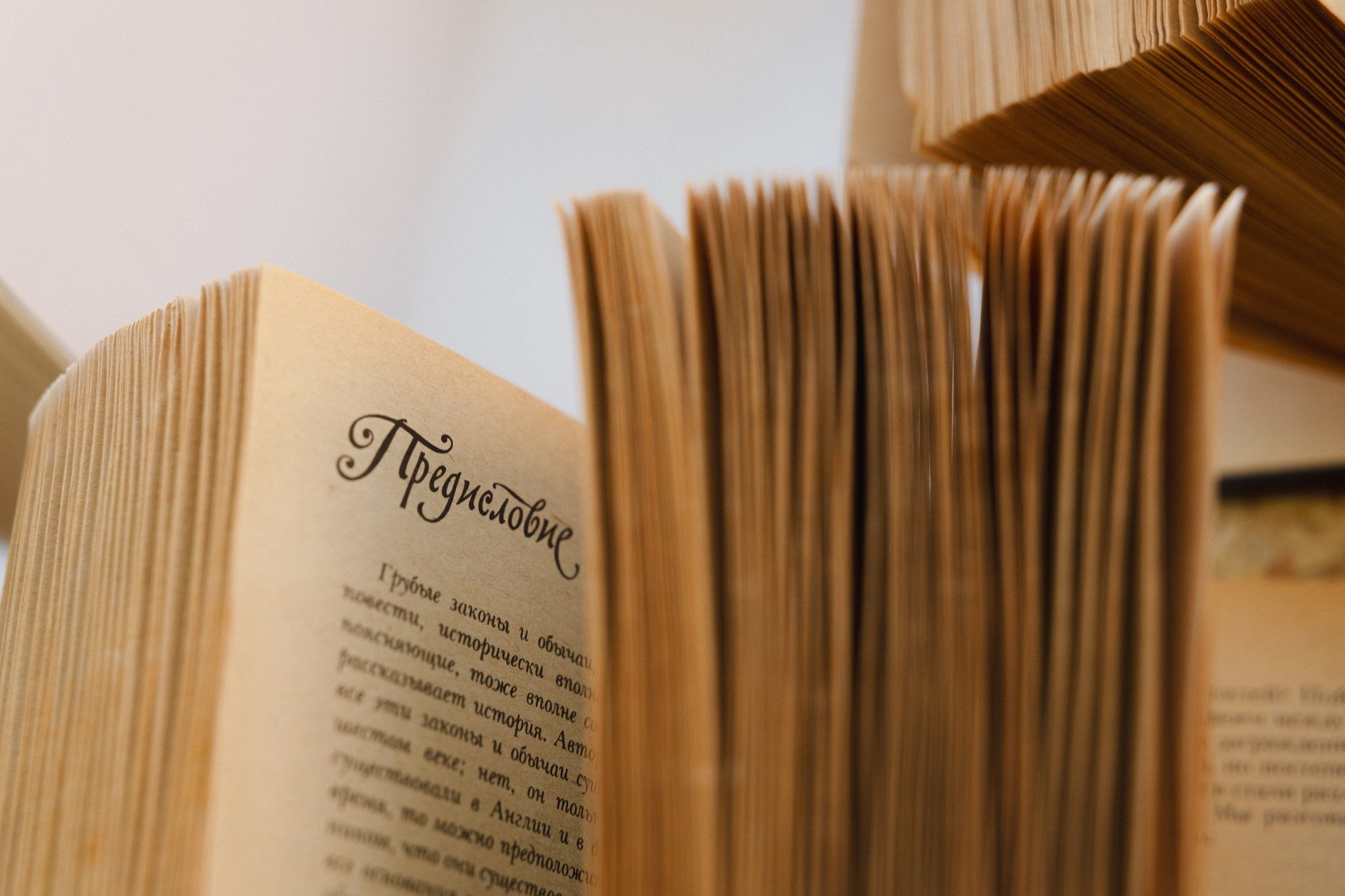 Anton & Dayana. Азимжан Нуритдинходжаев — свадебный фотограф