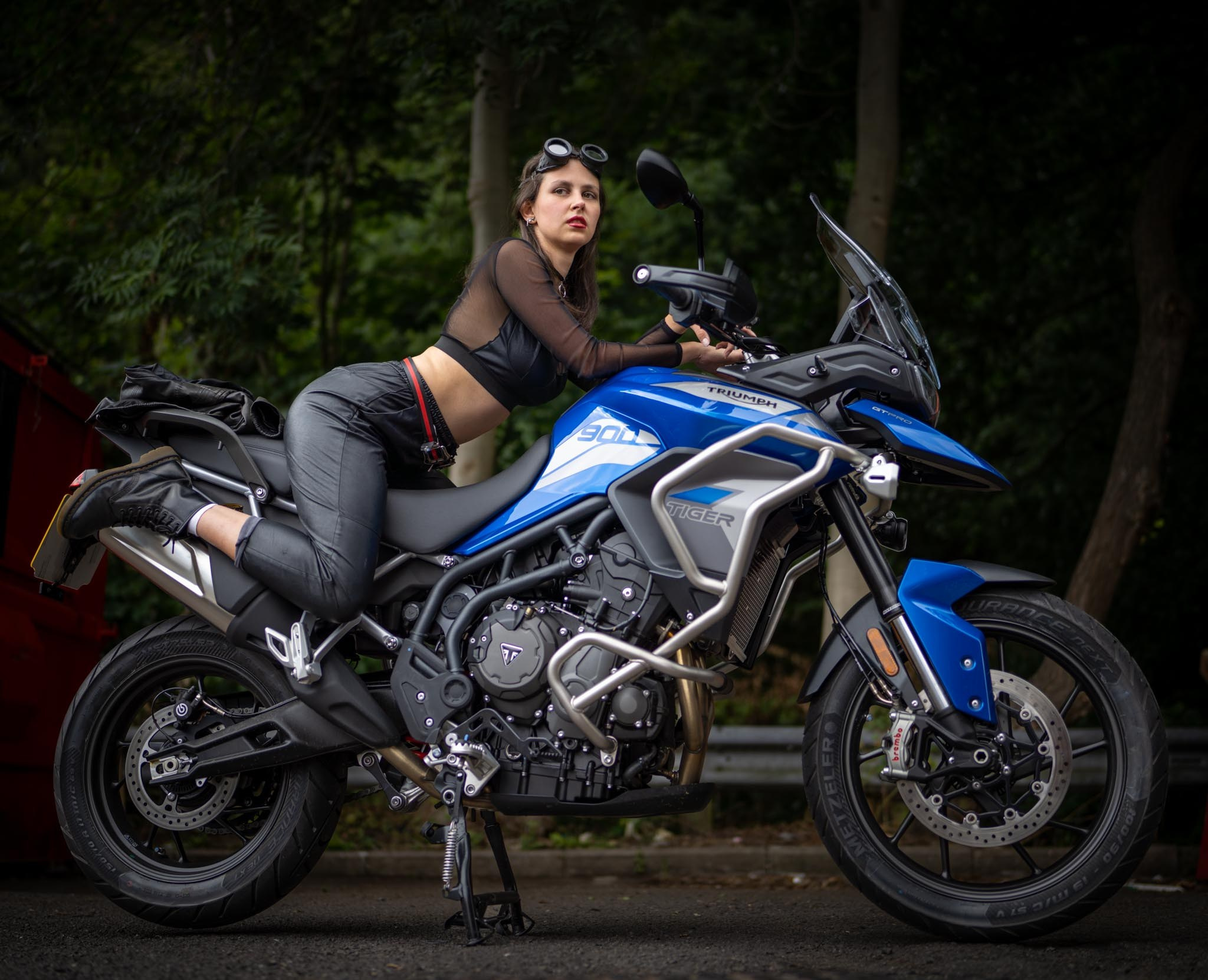 TRIUMPH Stories. Main