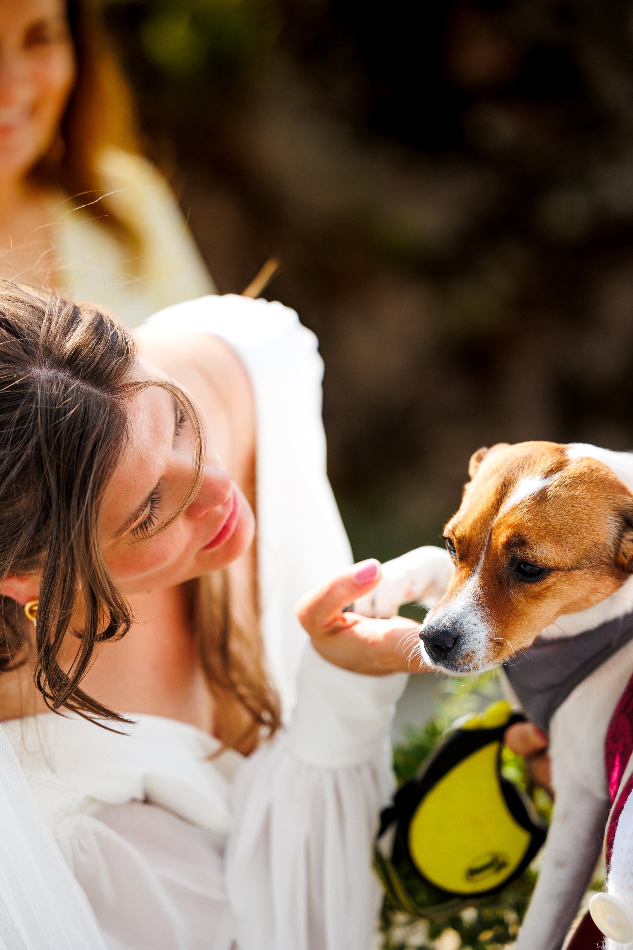 2024 – Bryllup – Sara & Knut Håkon. Bryllupsfotograf i Oslo og Rogaland — Meisal Media