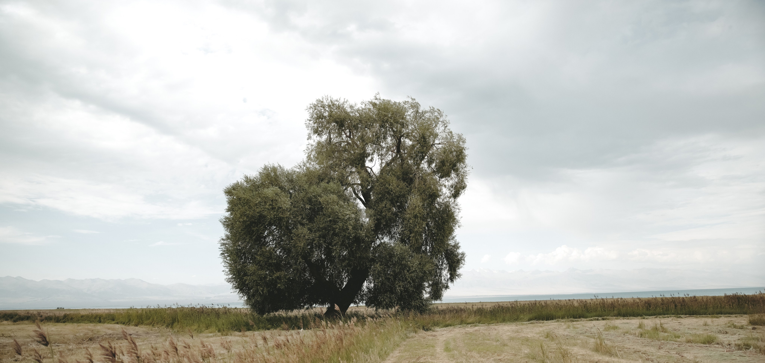 Азиз и Кыял. Валерия Вартанова. Фотограф