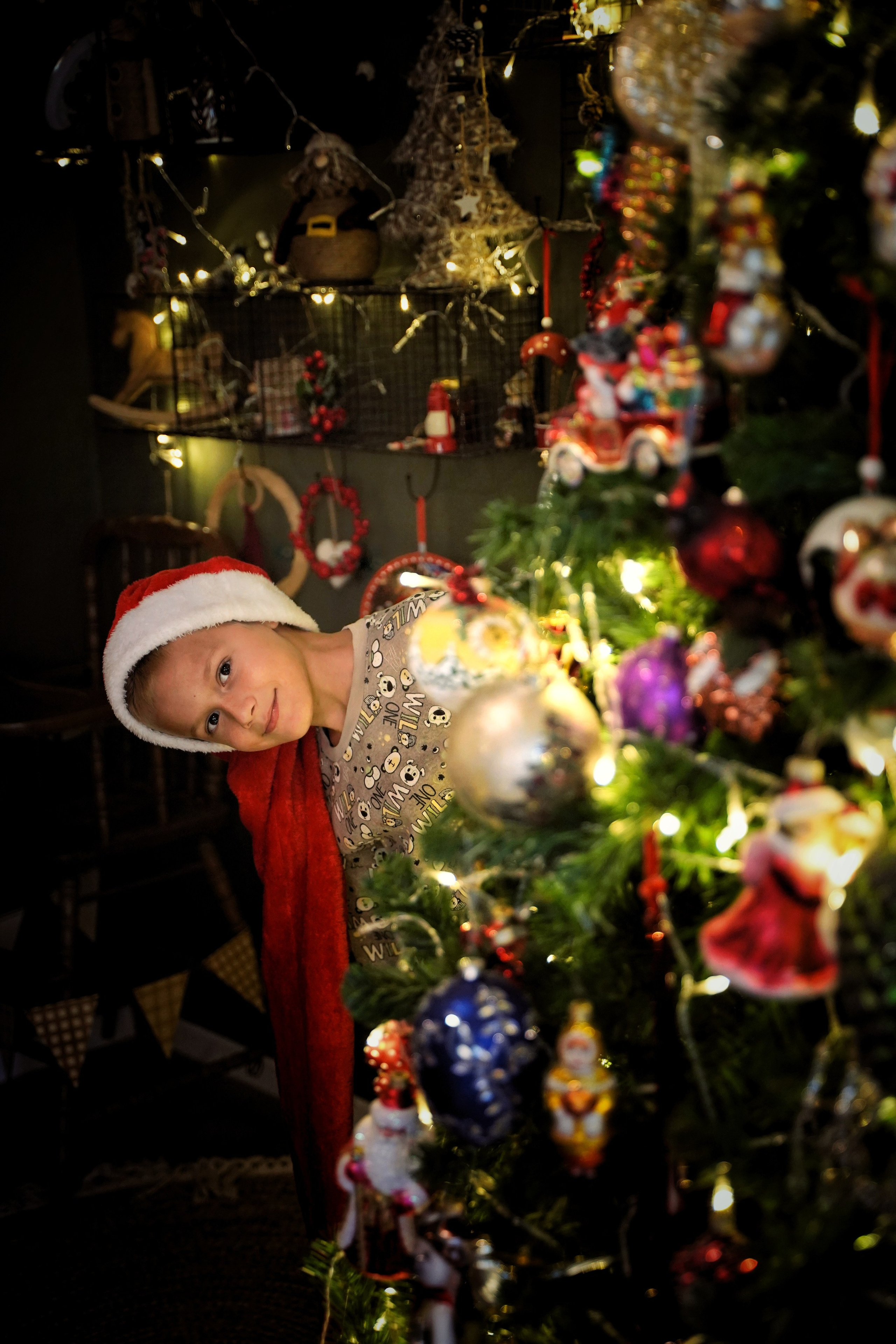 Эльфы. Фотограф. Визуал. Хайфа. Талья Цветкова