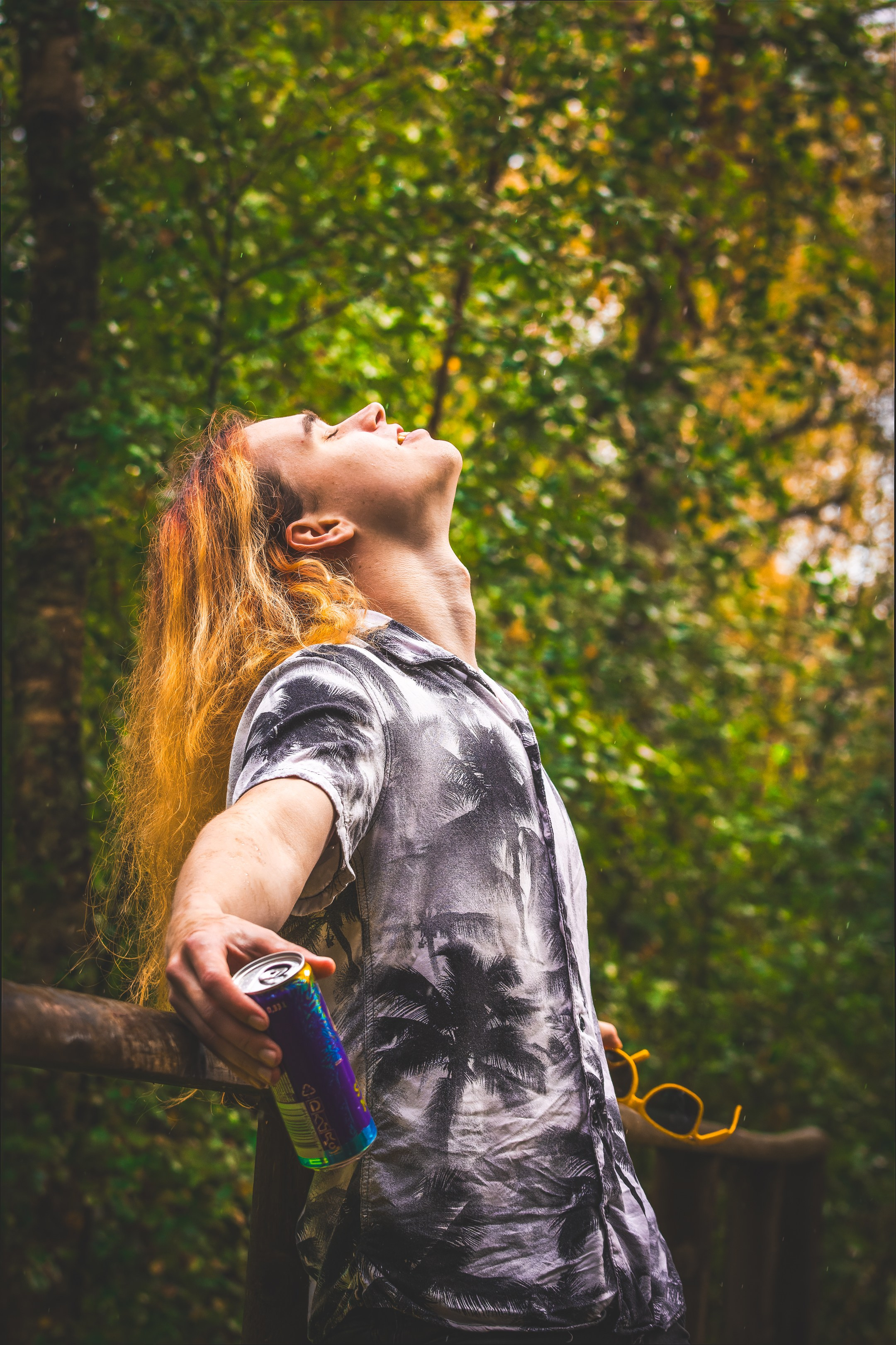 Mets, vihm ja jahedus (Dimitry). Nebula 25 — Fotod teie hingele