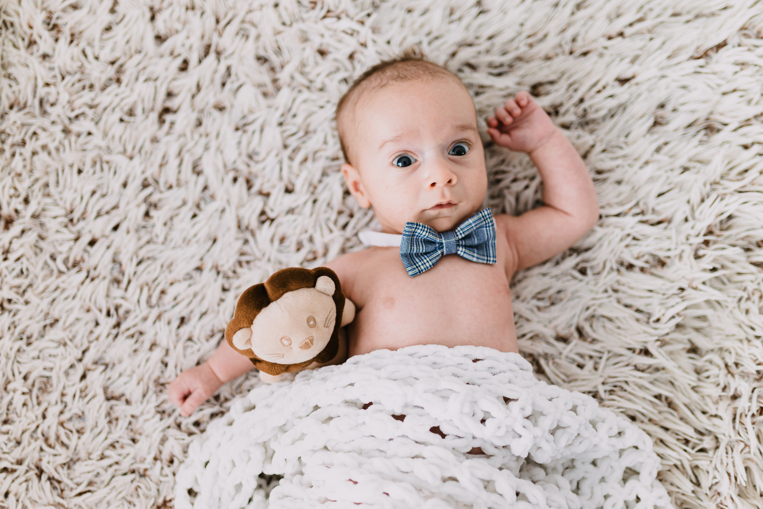 Teodor Mihai. Giani Maftei