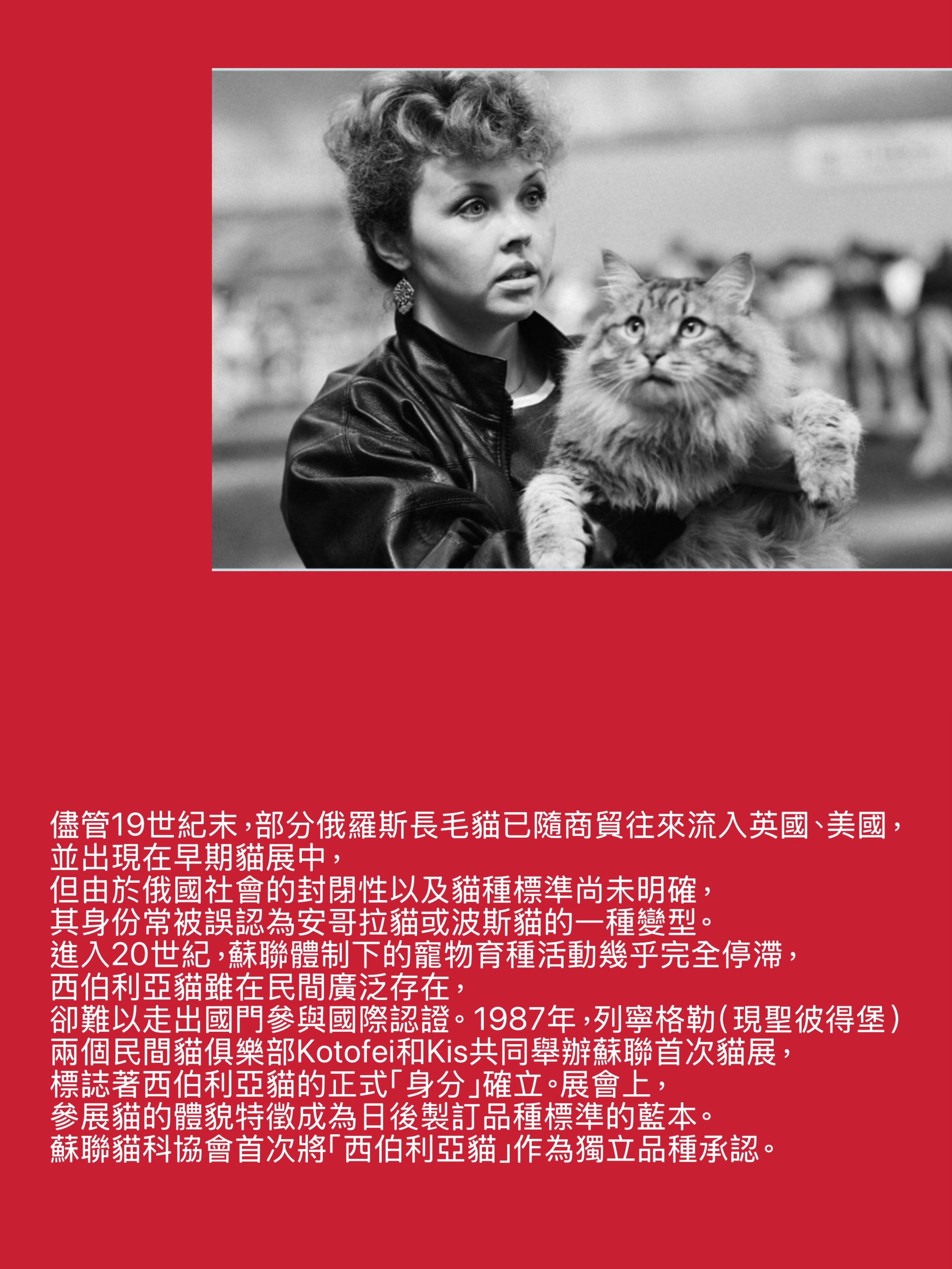 LEMON GREEN SIBERIANS