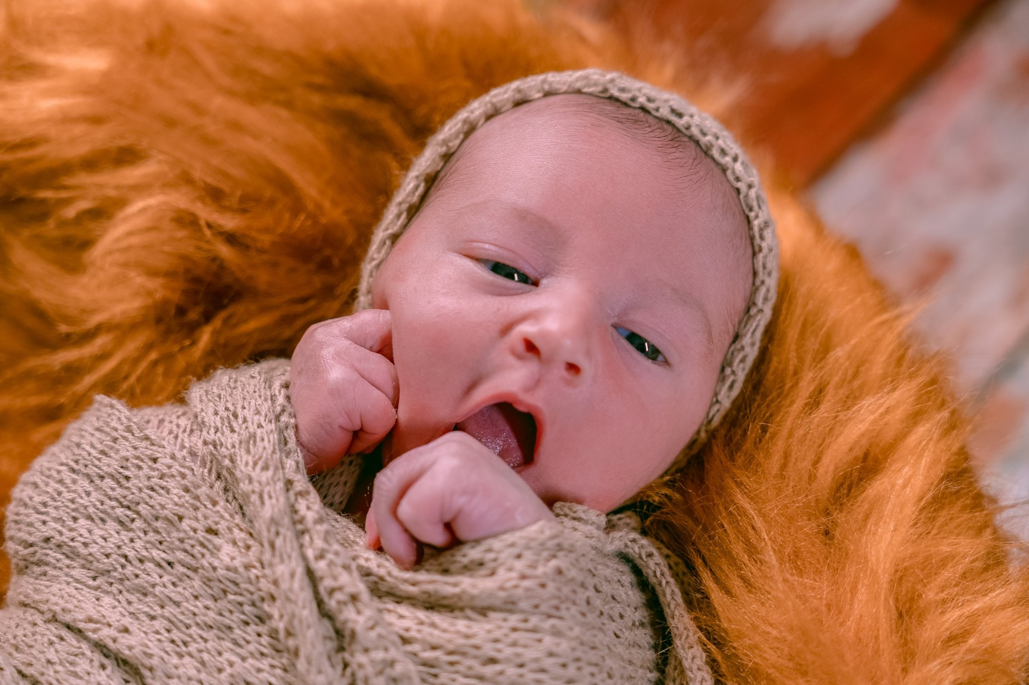 Vicente — 09/04/2024. Luiz Medeiros Produções