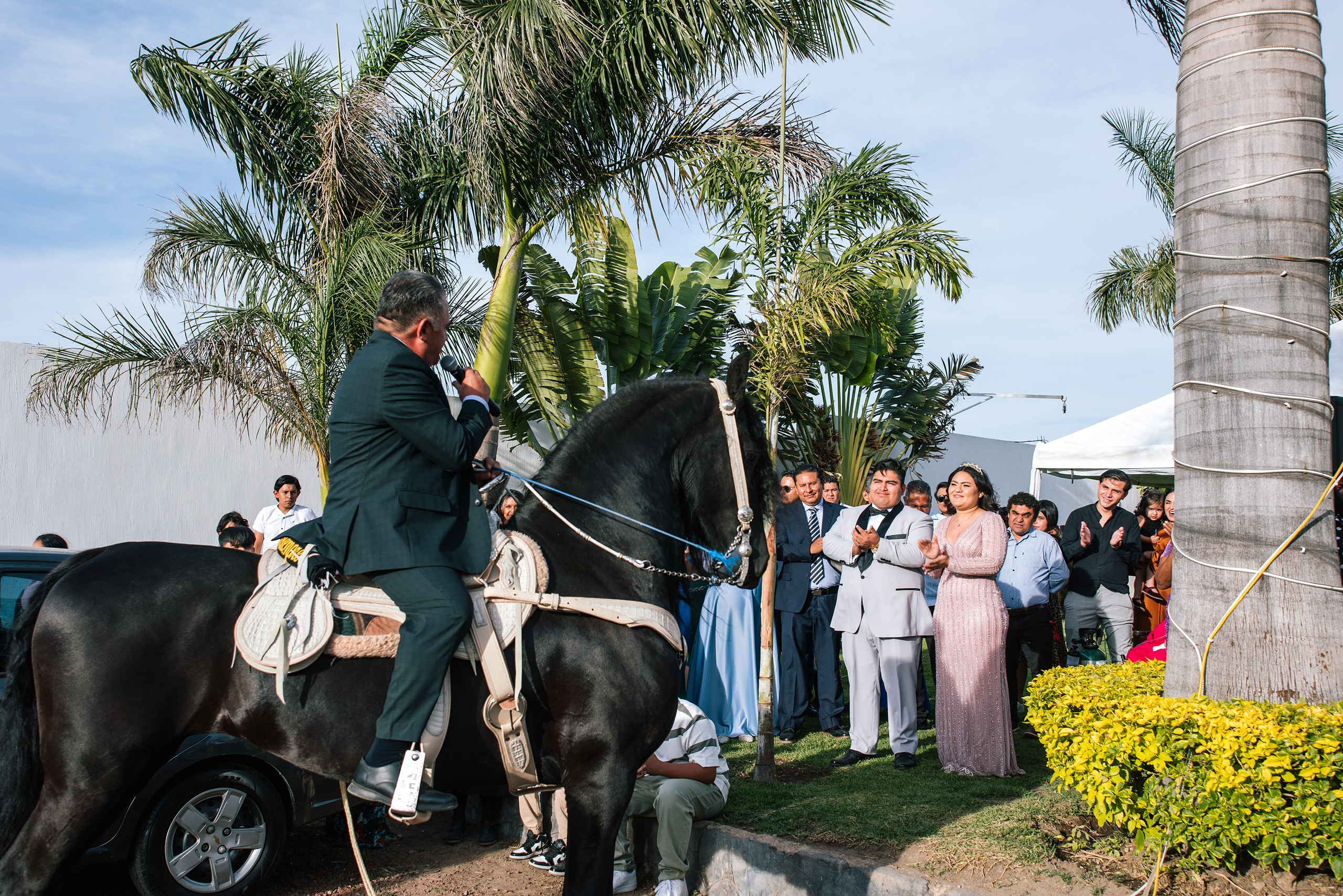 Fiesta/ Coctel. Principal