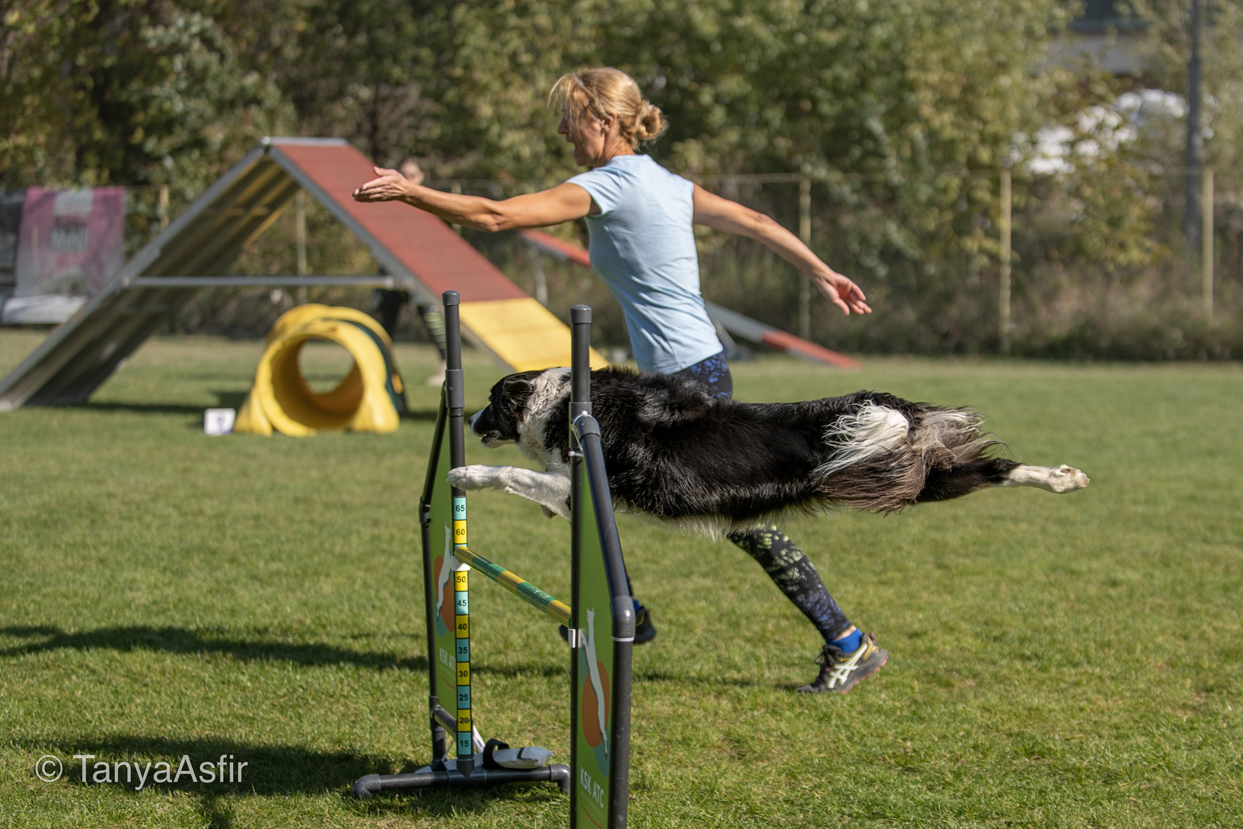 Professional dog photography: agility, frisbee, obedience, IGP. Tanya Asfir — Pet & Animal Photographer | Belgrade, Serbia