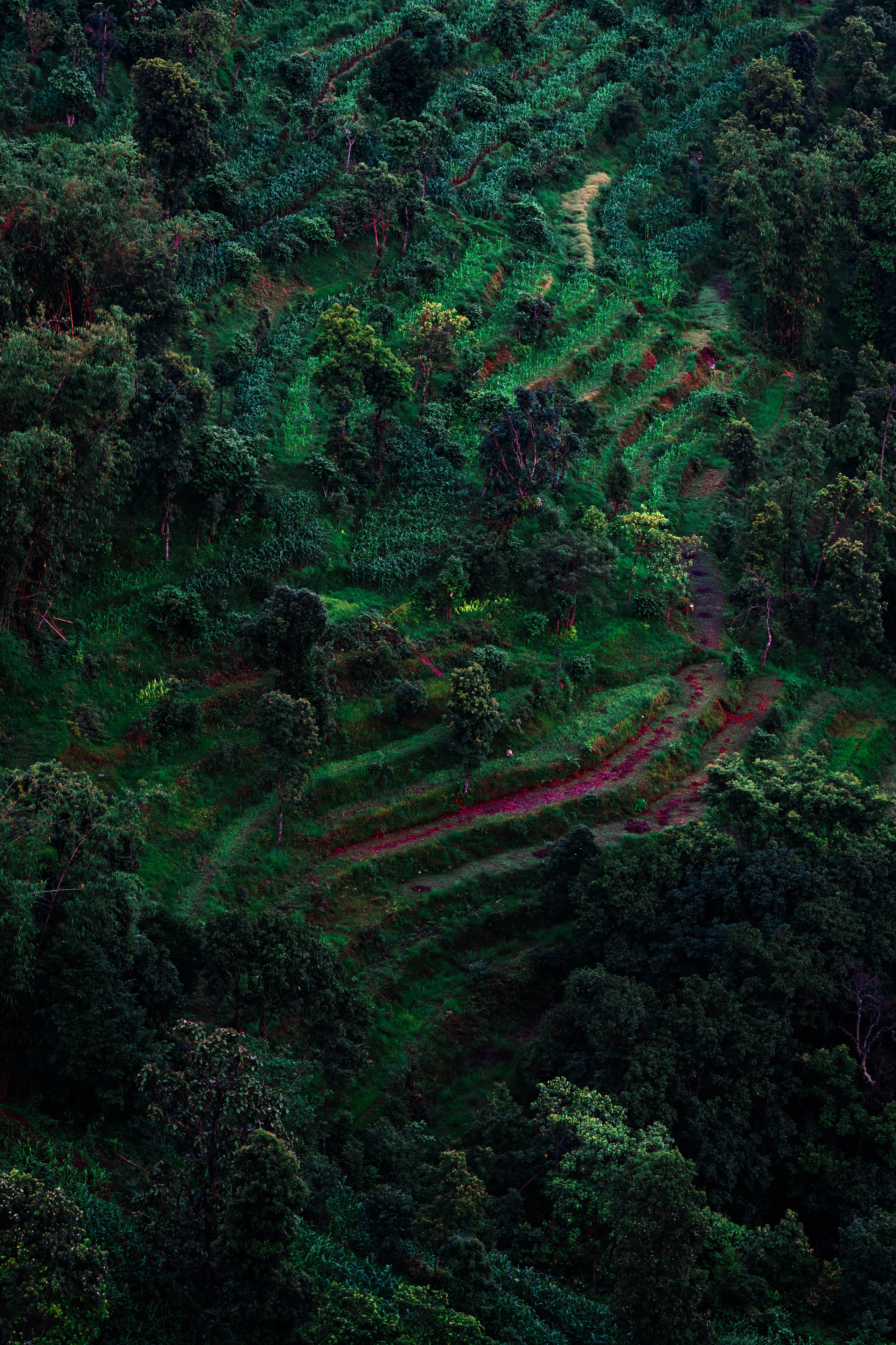 Artjom Kutuzov Photography