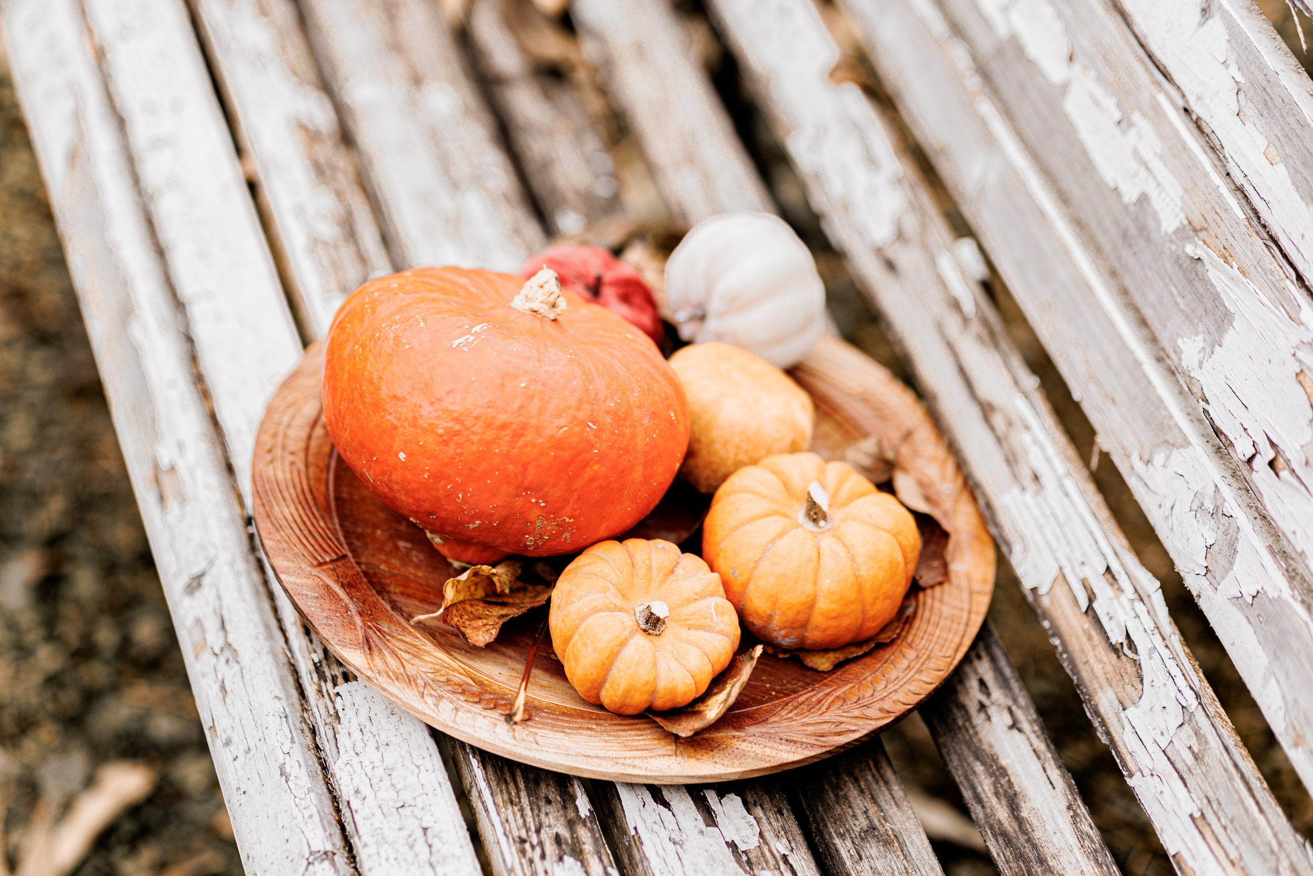 LANDHAUSE. Family Fotografer in München und Umgebung