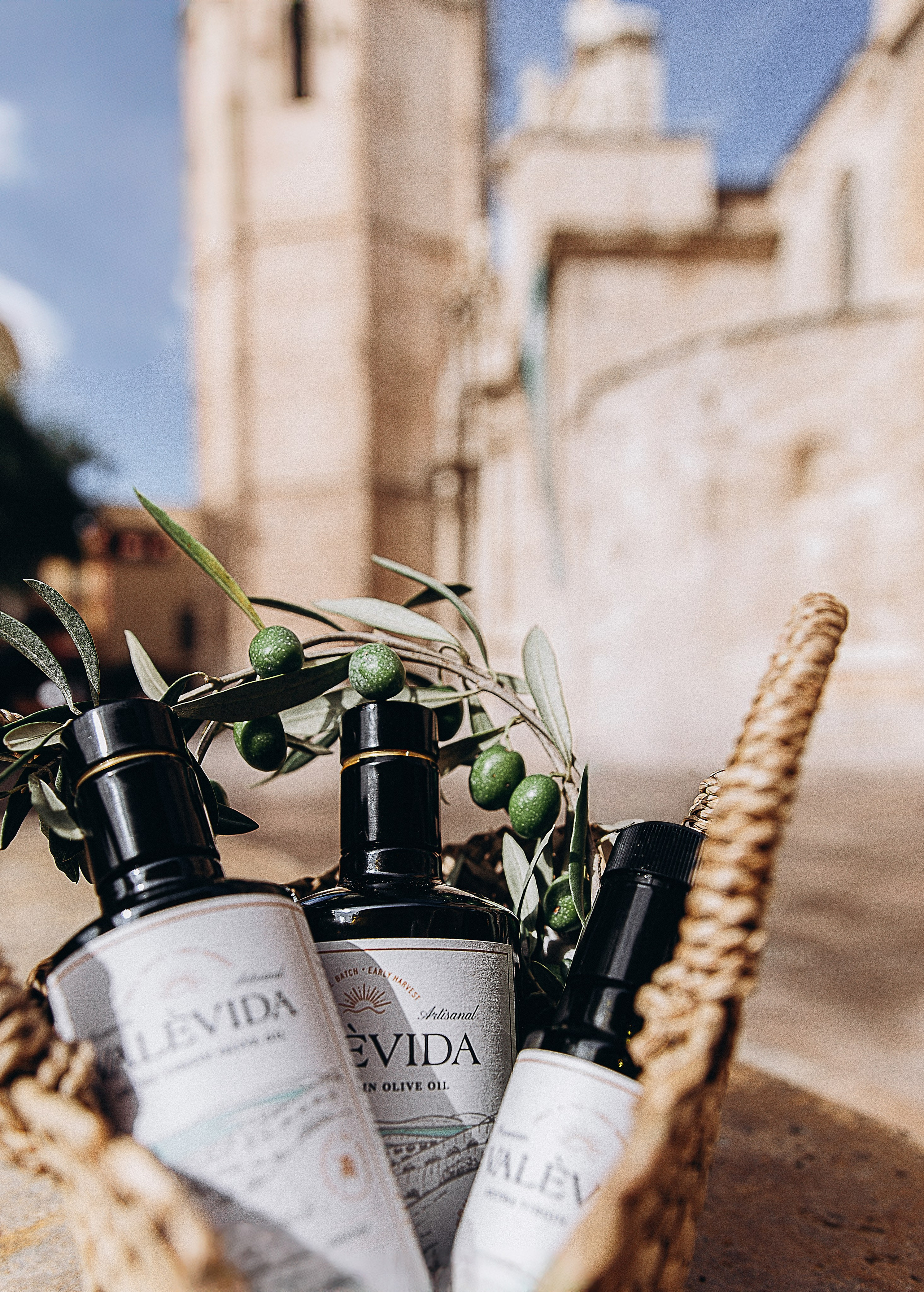 Elegant product photography of premium olive oil bottles styled with fresh olive branches in a rustic basket, captured outdoors in Valencia, Spain. Ideal for showcasing natural, artisanal products through brand and content photography in Spain.
