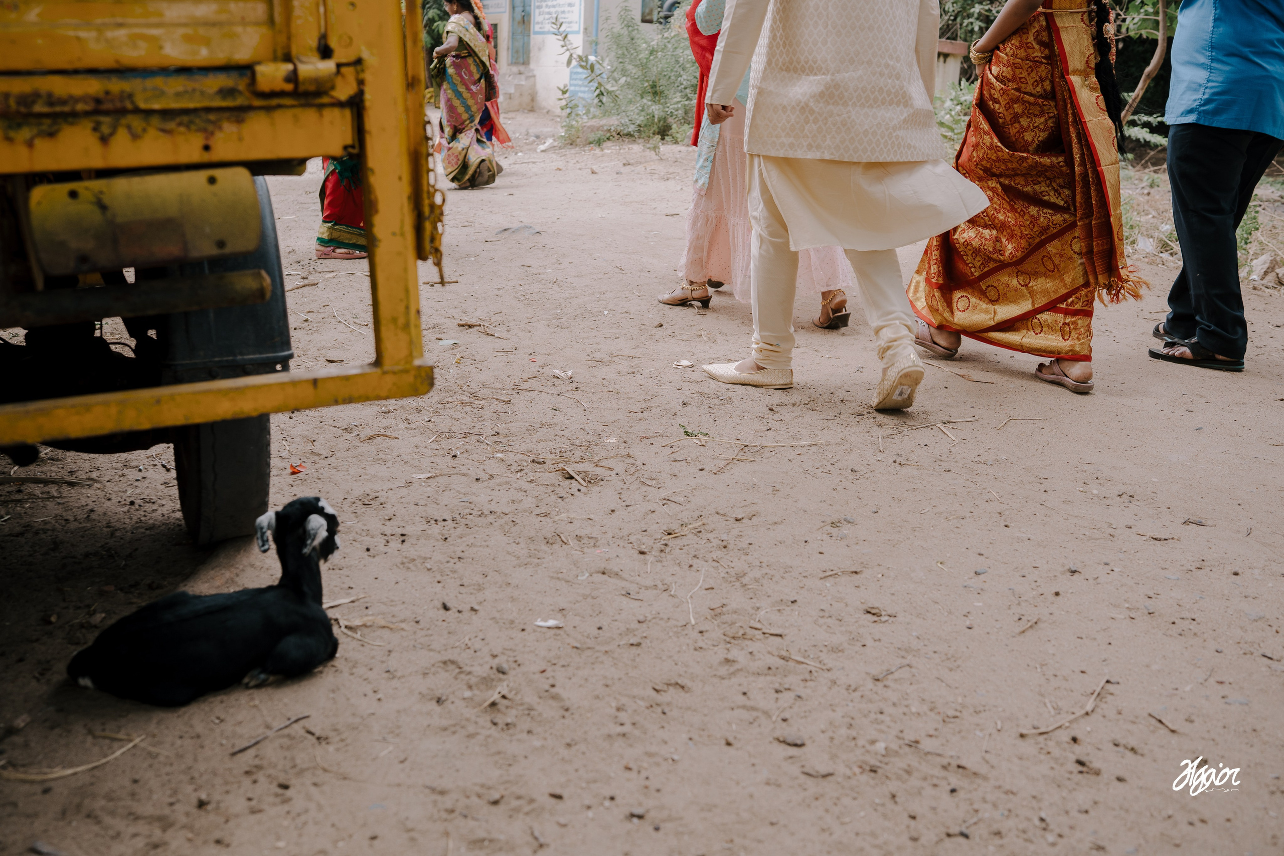 A Decade of Love, Sealed in a Soulful Agam Vizha. Agam Vizha